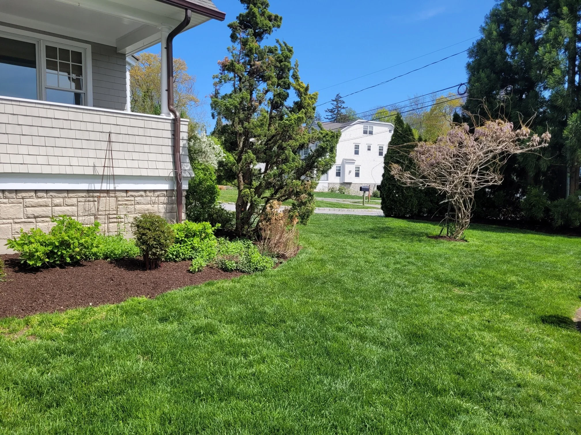 Gro Pro Landscaping Lawn Services Greenwich, CT.jpg