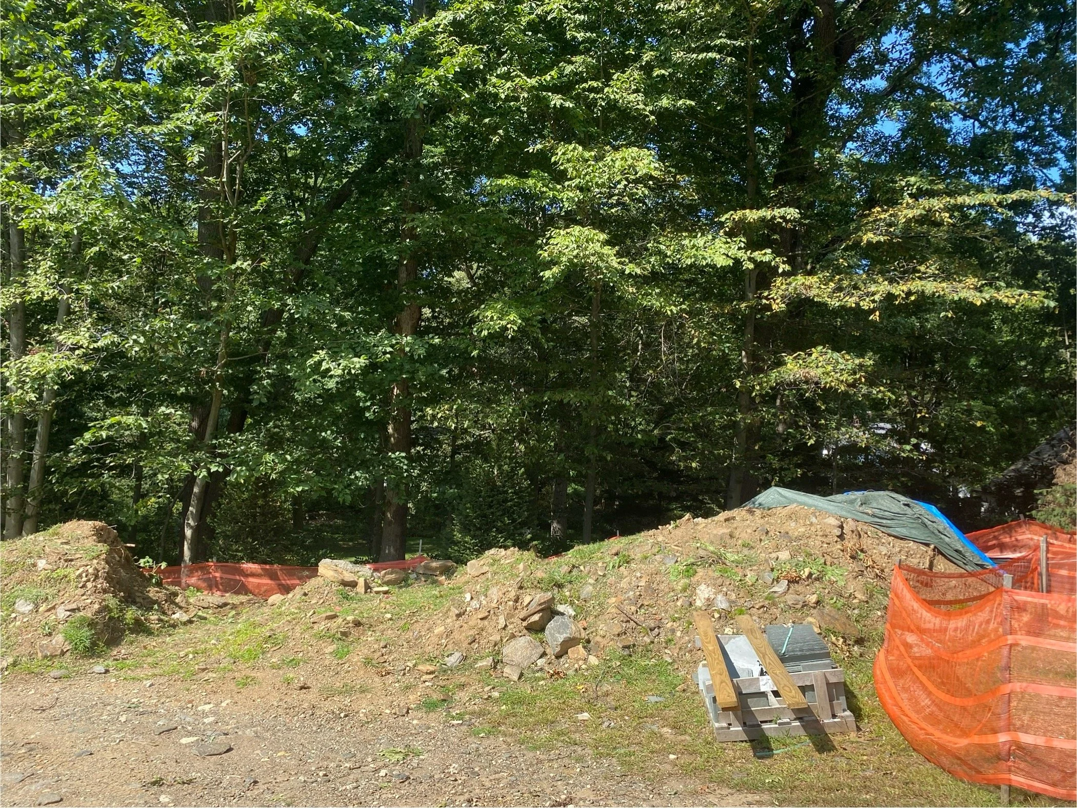 Landscaping Greenwich.jpg