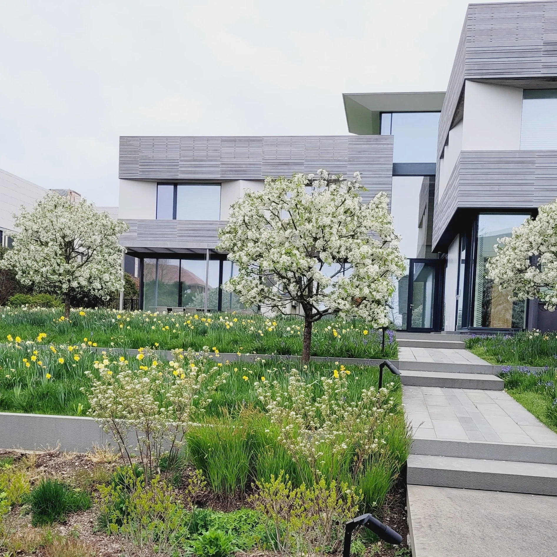 Modern multi-story house with large glass windows, surrounded by a landscaped front yard with blooming trees, green grass, and flowering plants. Paved walkway leads up to the entrance.