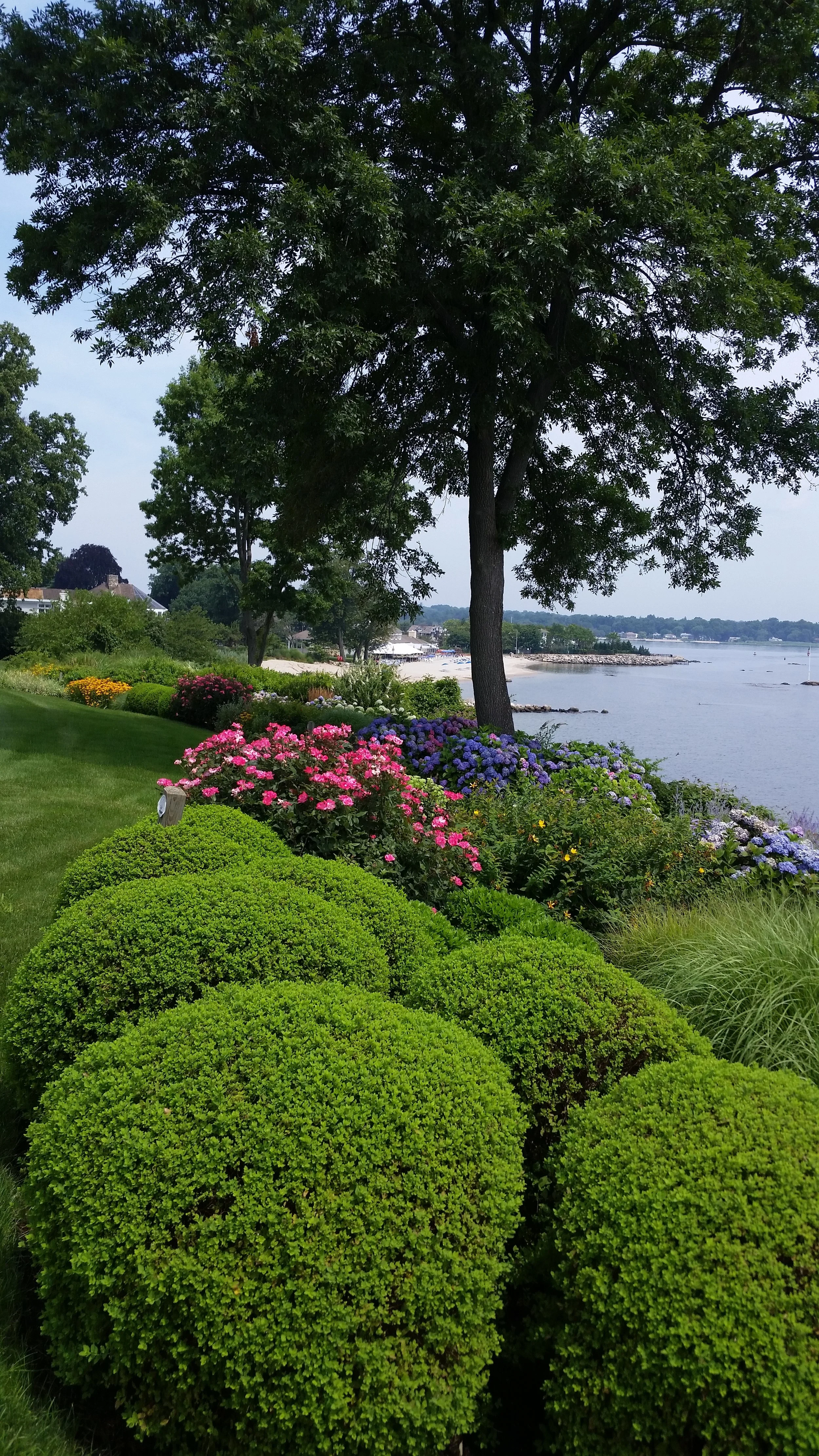Greenwich Landscaping