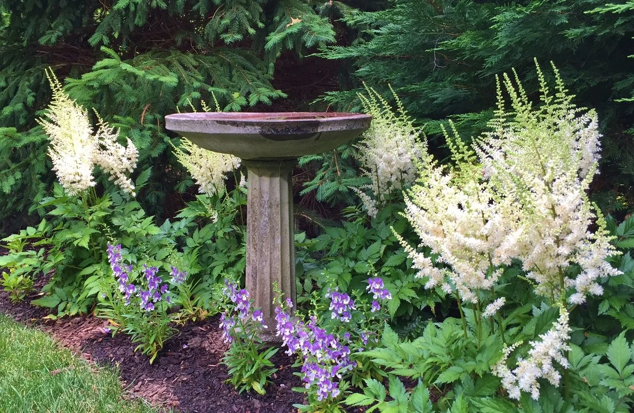 Gro Pro Landscaping Professional Landscaping Greenwich, CT.jpg