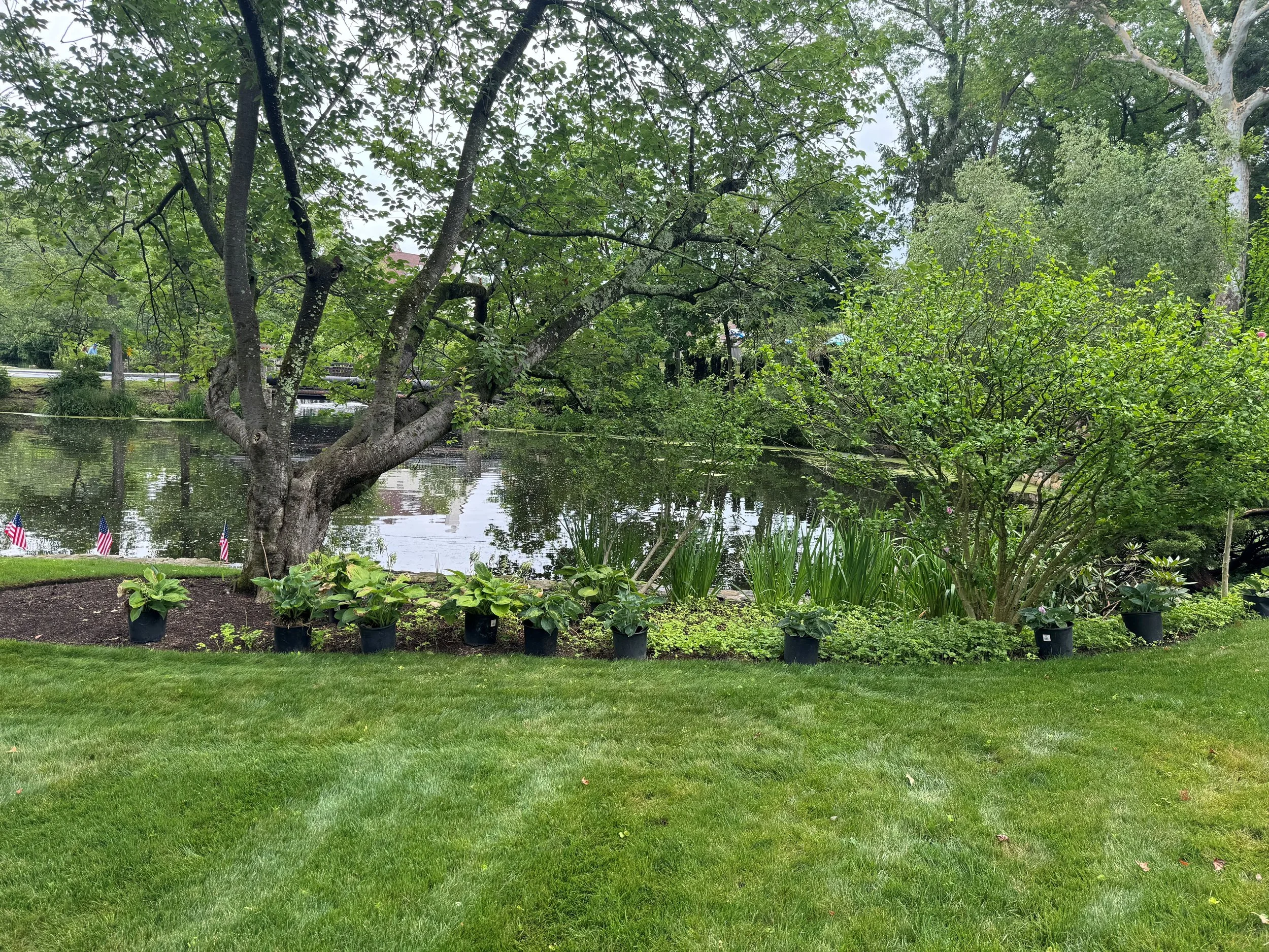 Gro Pro Landscaping Lawn Services Greenwich, CT.jpg