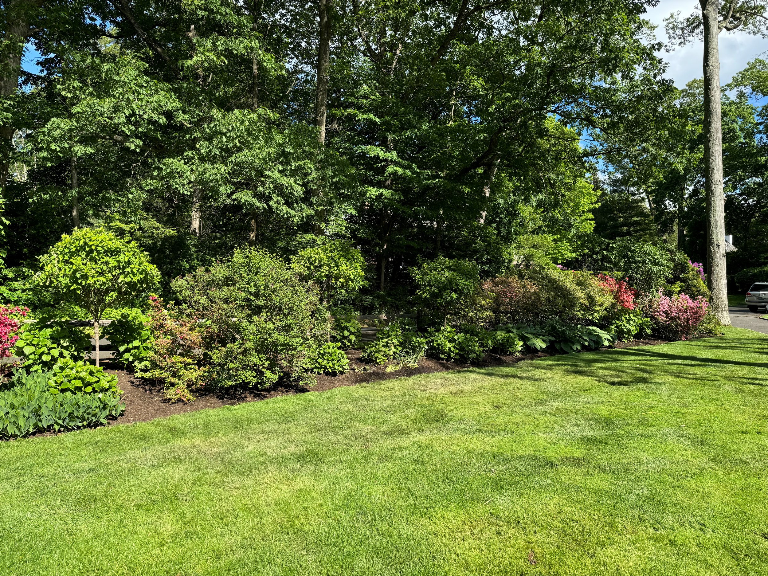 Gro Pro Landscaping Lawn Services Greenwich, CT.jpg
