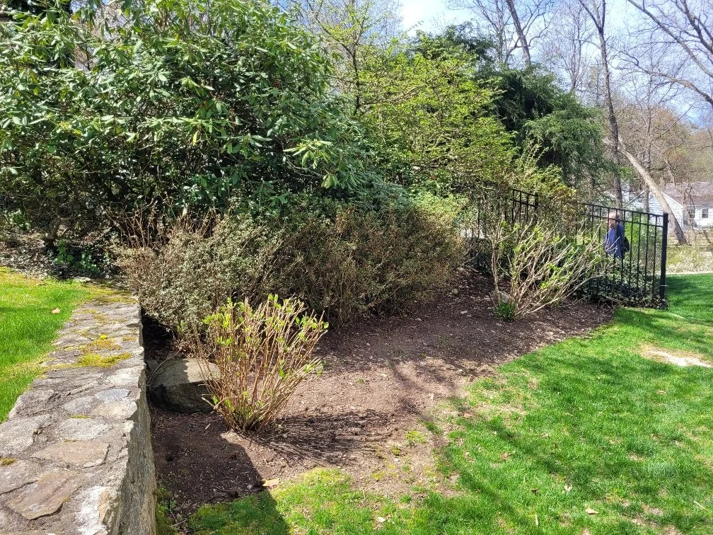 Landscaping Greenwich.jpg