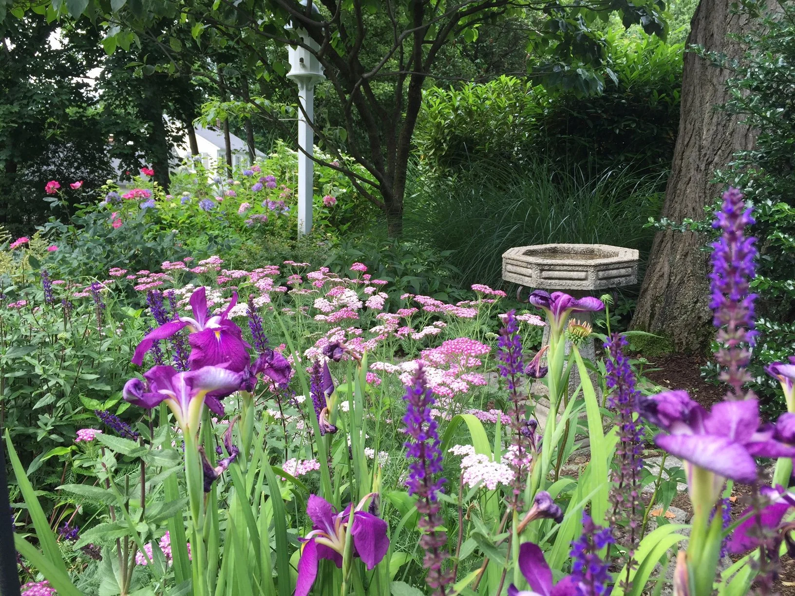 Gro Pro Landscaping Professional Landscaping Greenwich, CT.jpg