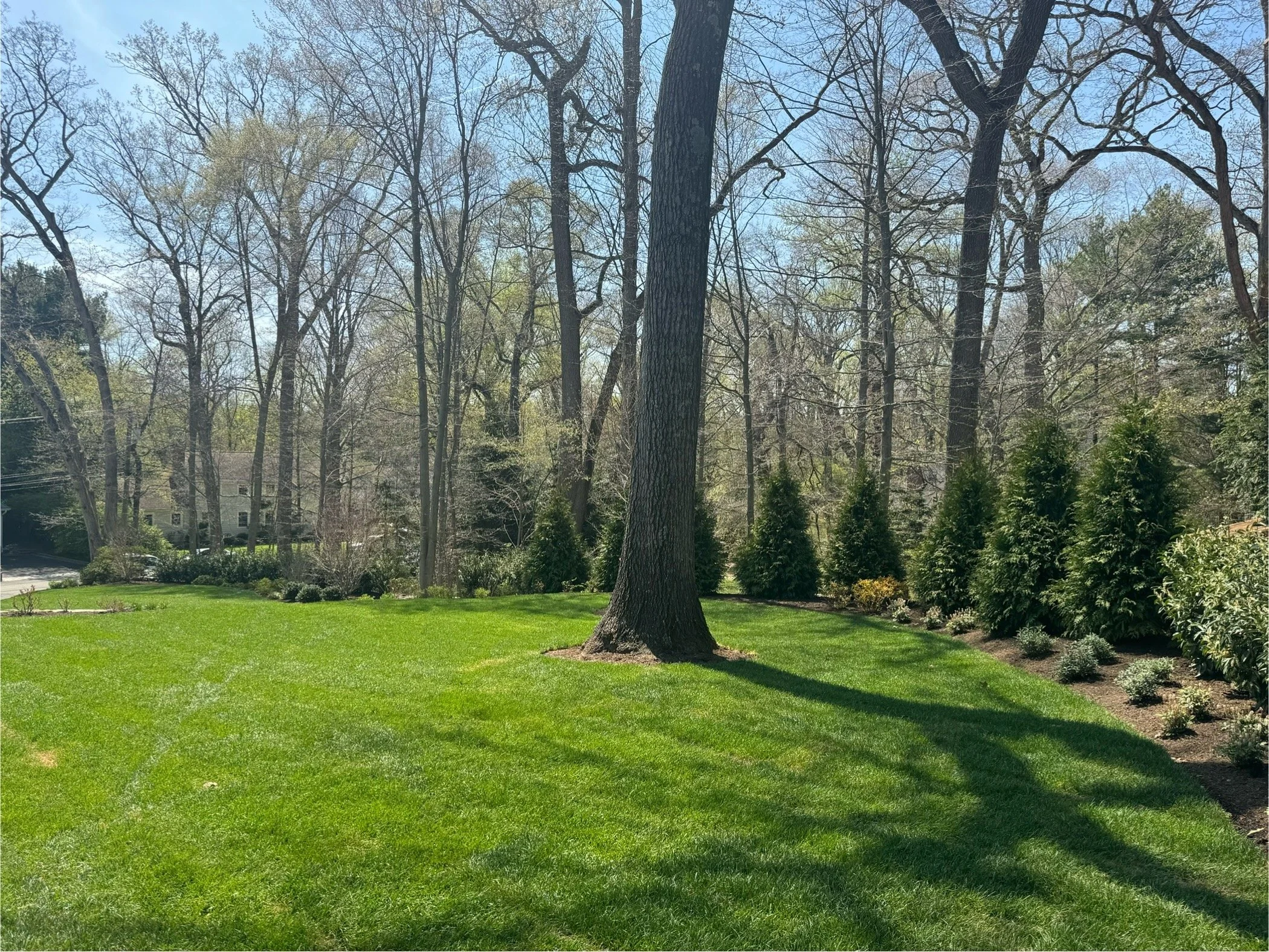 Landscaping Greenwich.jpg