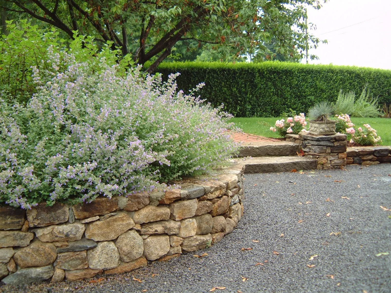 A landscaped garden with a stone retaining wall, flowering bushes, and a gravel pathway.