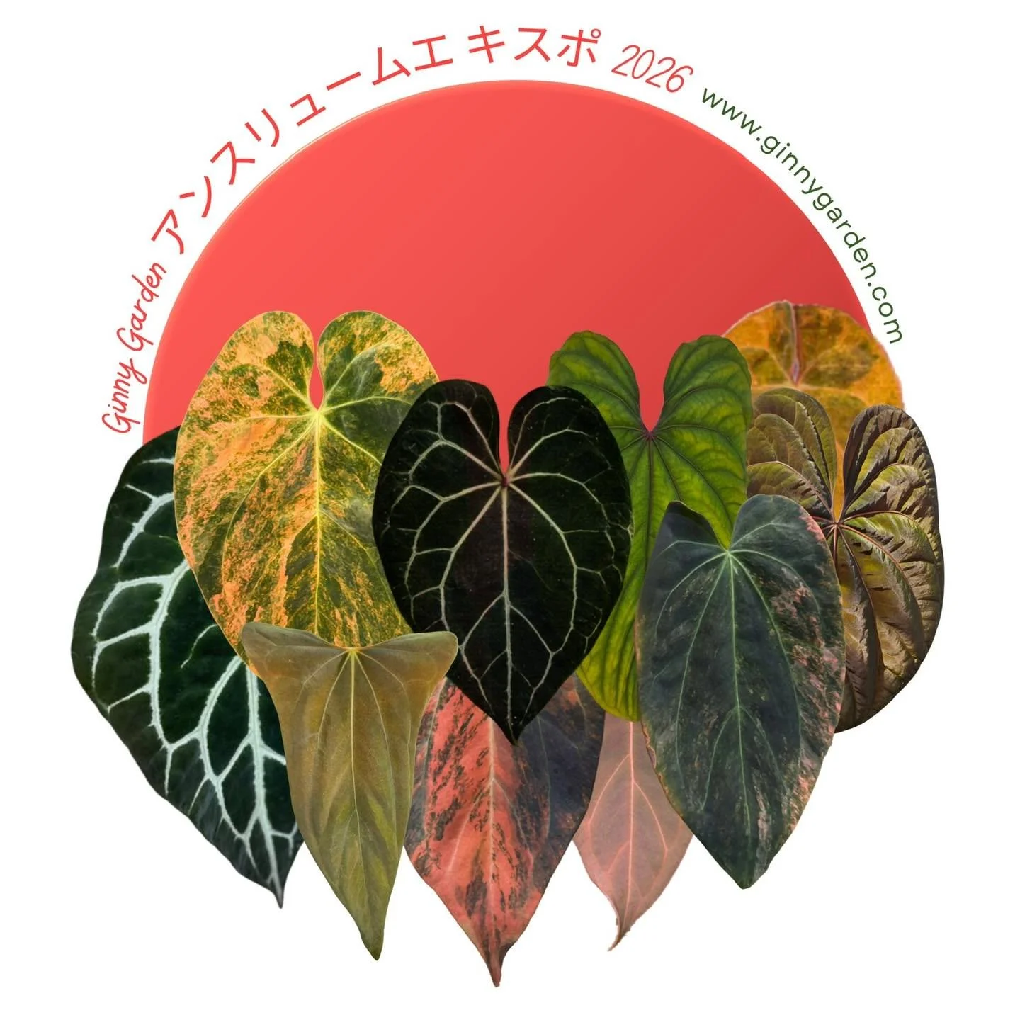 Counting down&hellip;We are ready to go to Japan. See you soon ❤️
.
For more information please DM 🪴❤️🪴
&mdash;&mdash;&mdash;&mdash;&mdash;&mdash;&mdash;&mdash;&mdash;&mdash;&mdash;&mdash;&mdash;&mdash;&mdash;&mdash;&mdash;&mdash;&mdash;&mdash;&mda