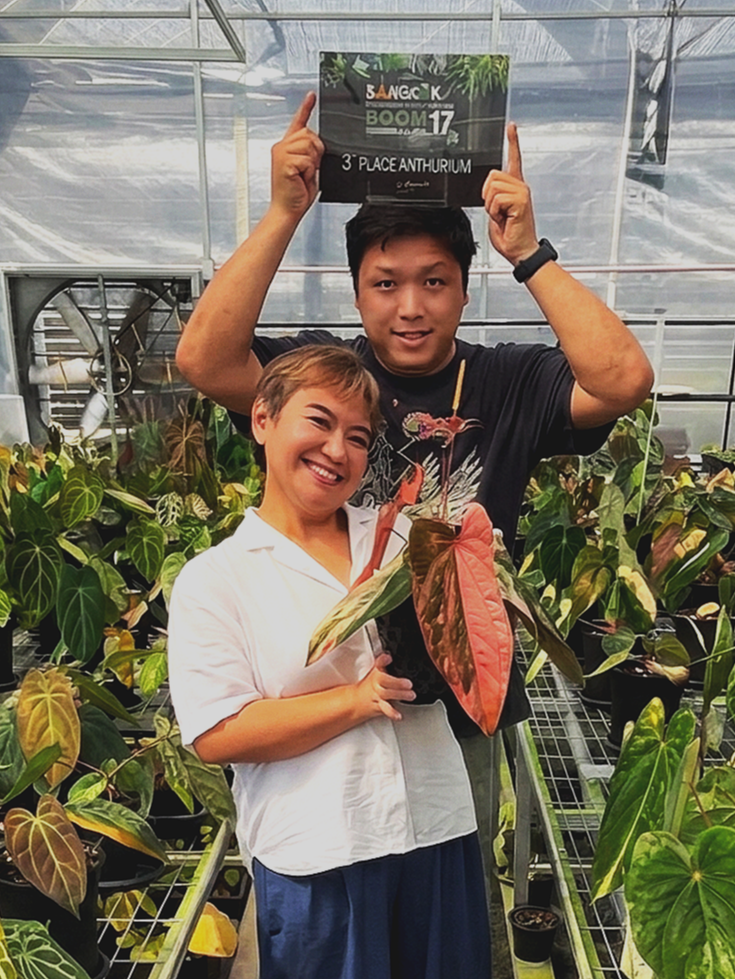 Anthurium Cleo won Award at Bangkok International Exotic Plants 2024