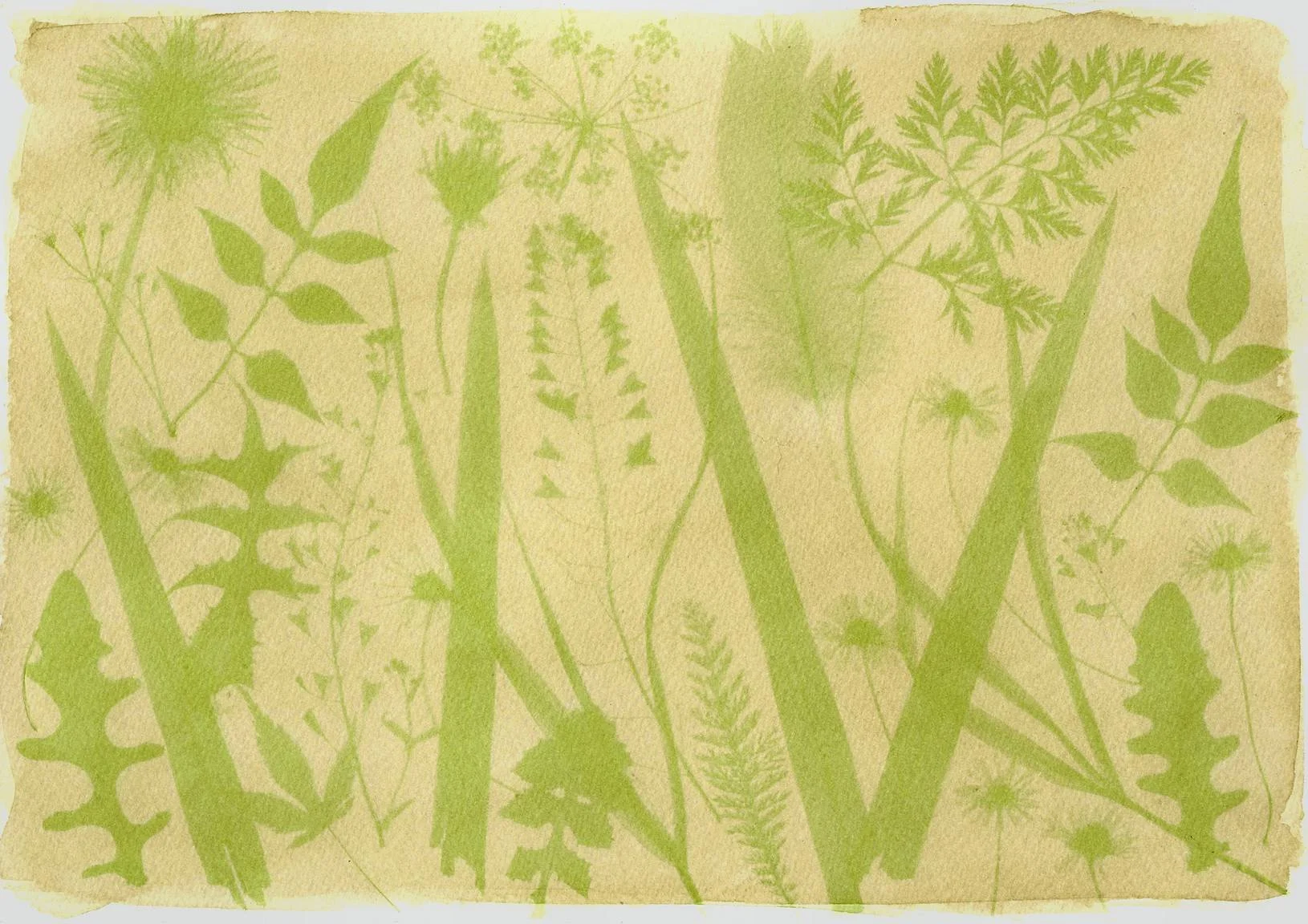 Cours anthiotypes (minimum 6 personnes)