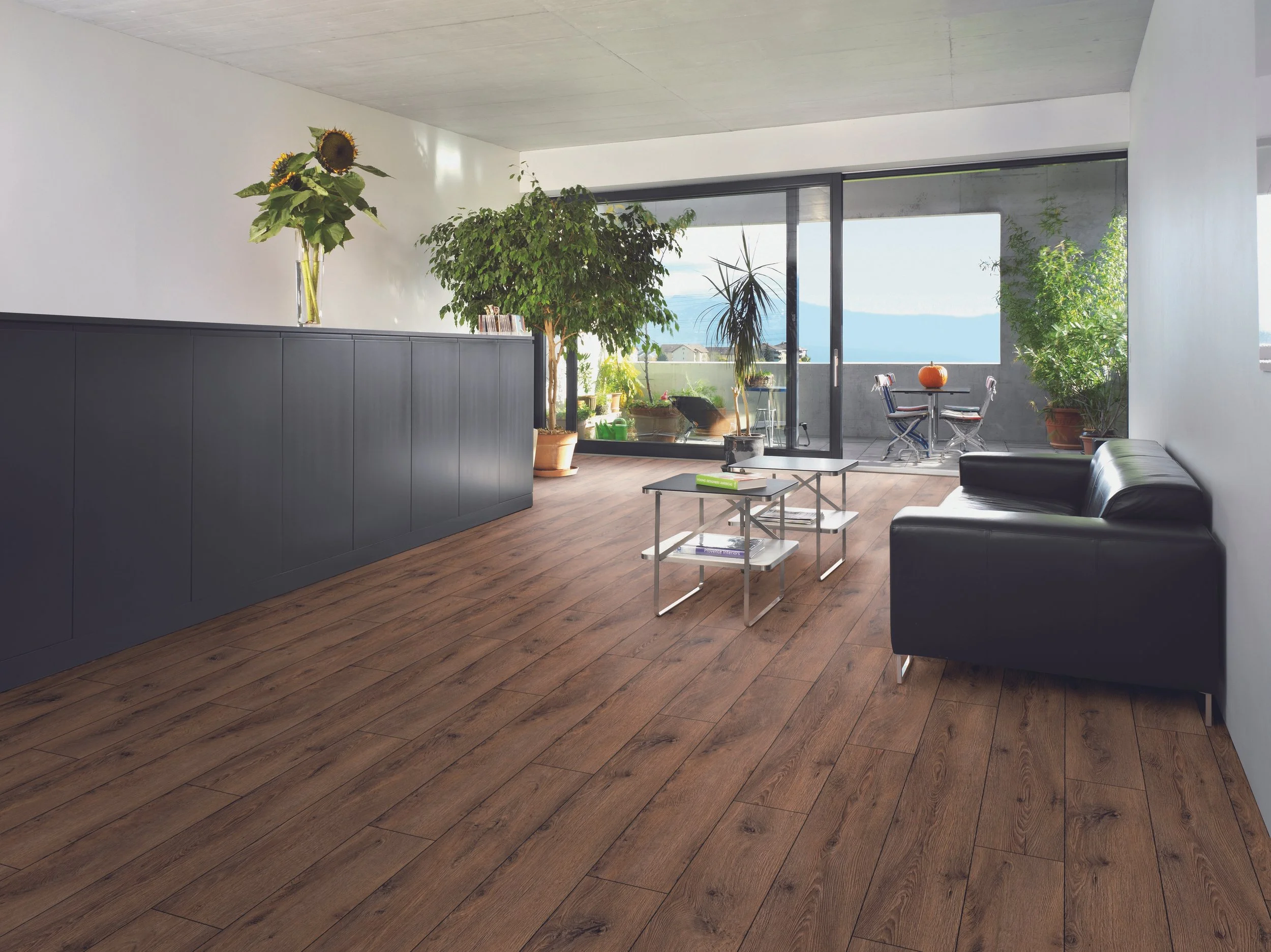 Dub Zinal interier.jpg