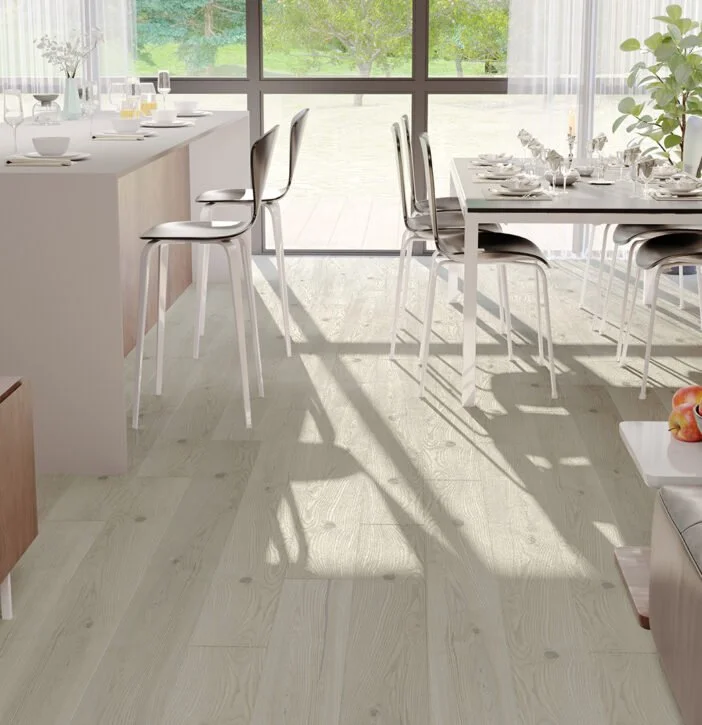 Jasan _Platinium_Grande 1.jpg