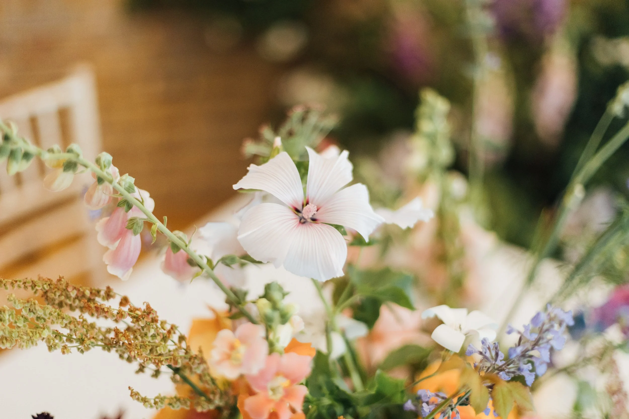 Sandeep and Yasmin-90.jpg