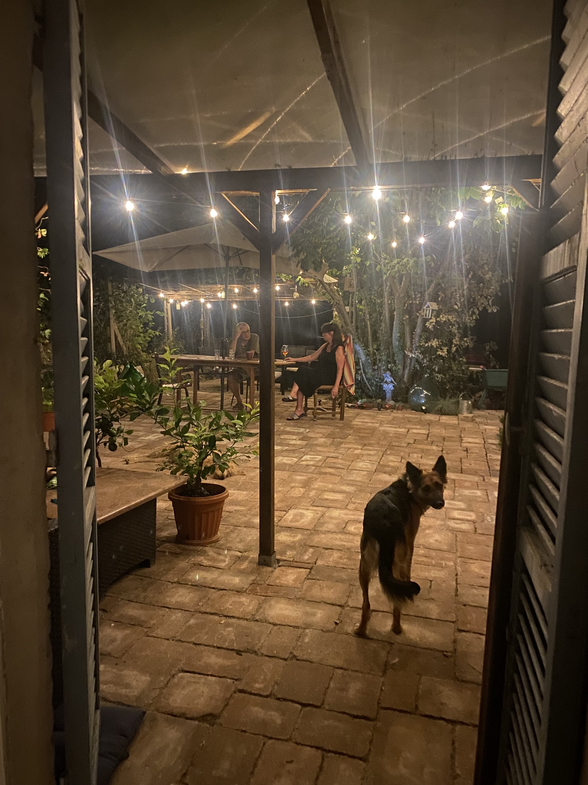 Our terrace 