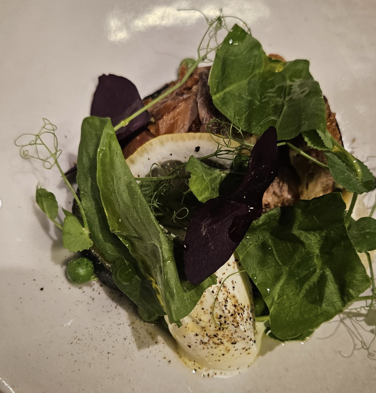 Screenshot 2026-03-31 at 12.10.39.png