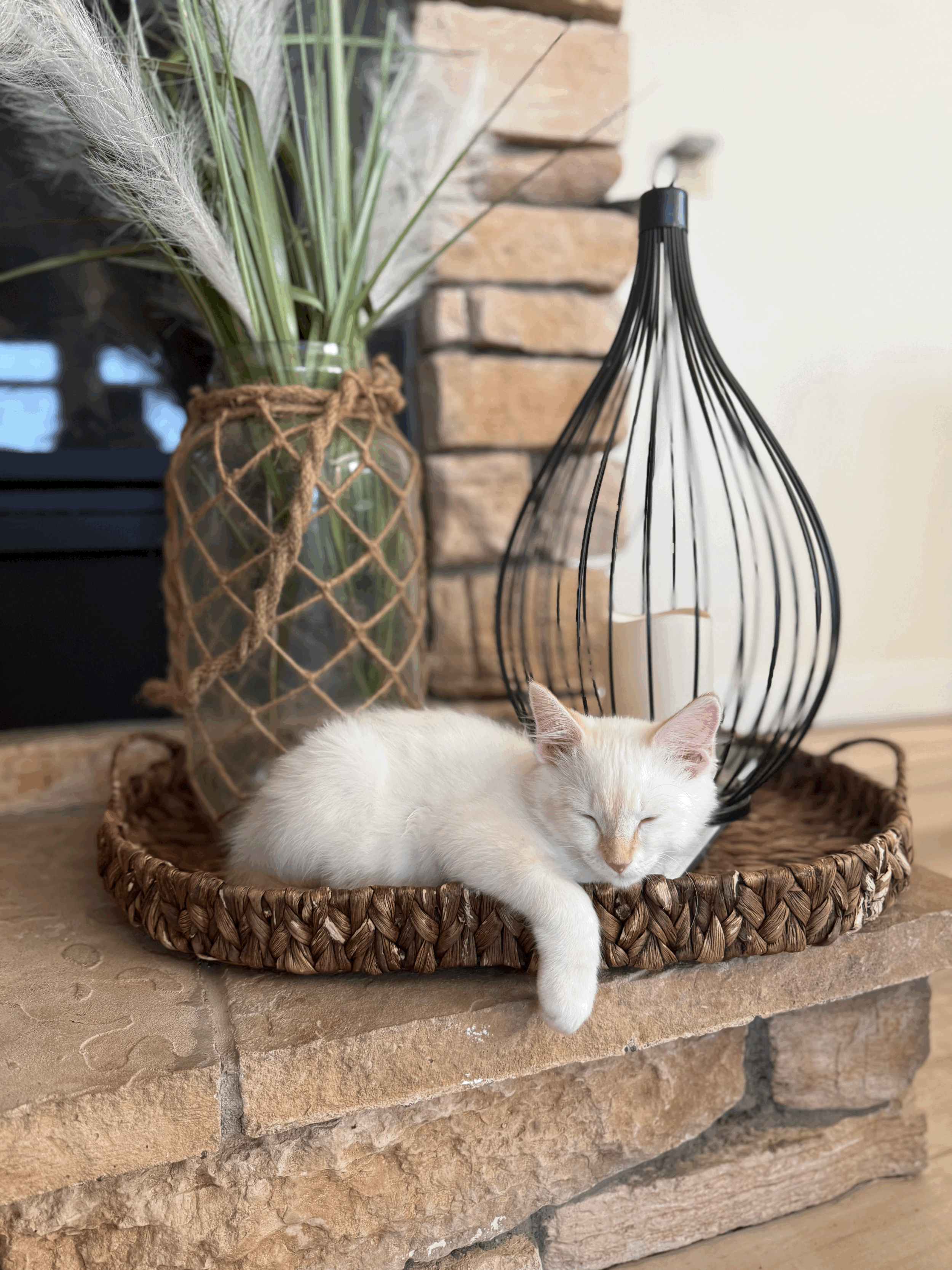 Why Sensory Sensitivity Matters, Especially At Home