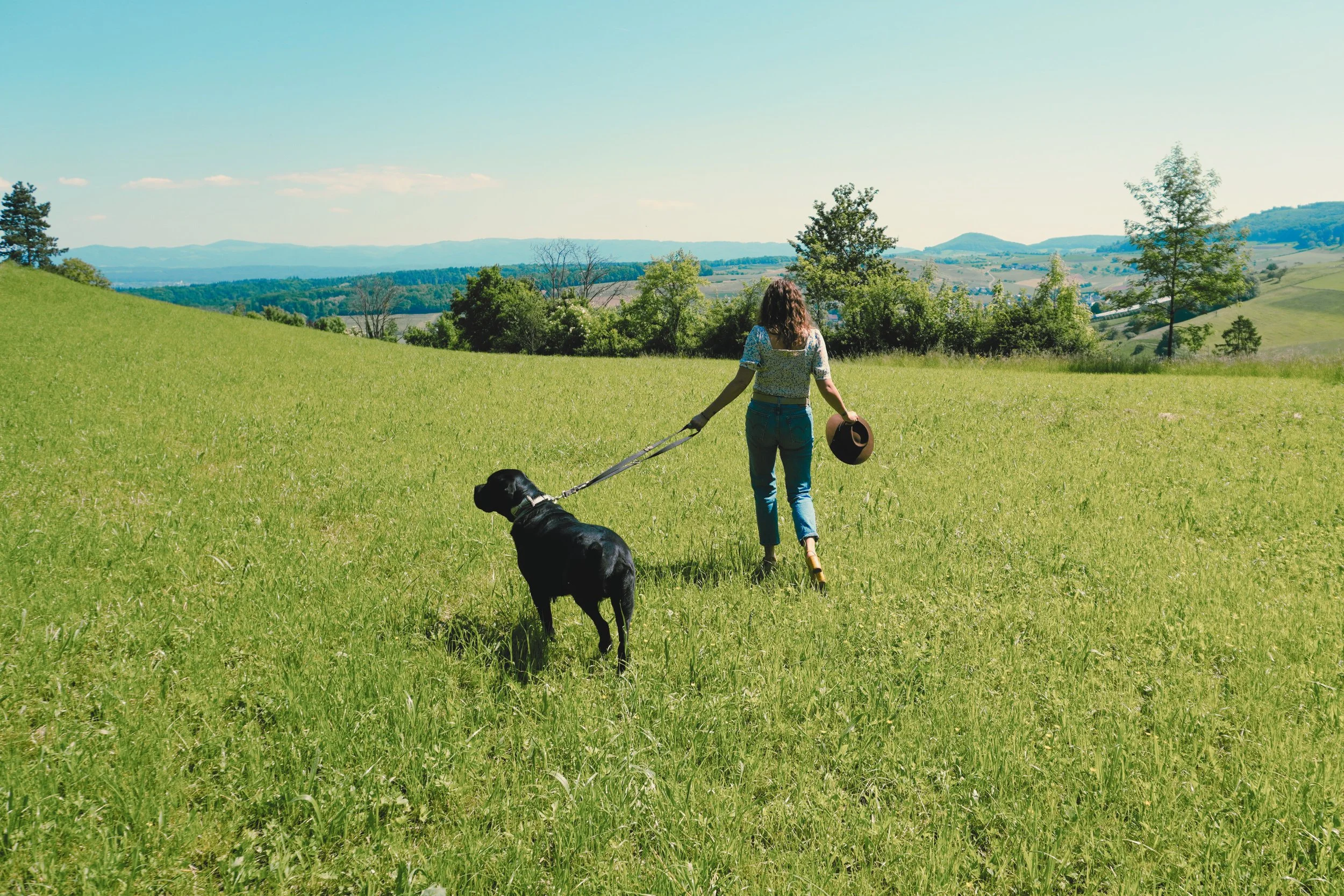 Where Work Meets Playful Inspiration