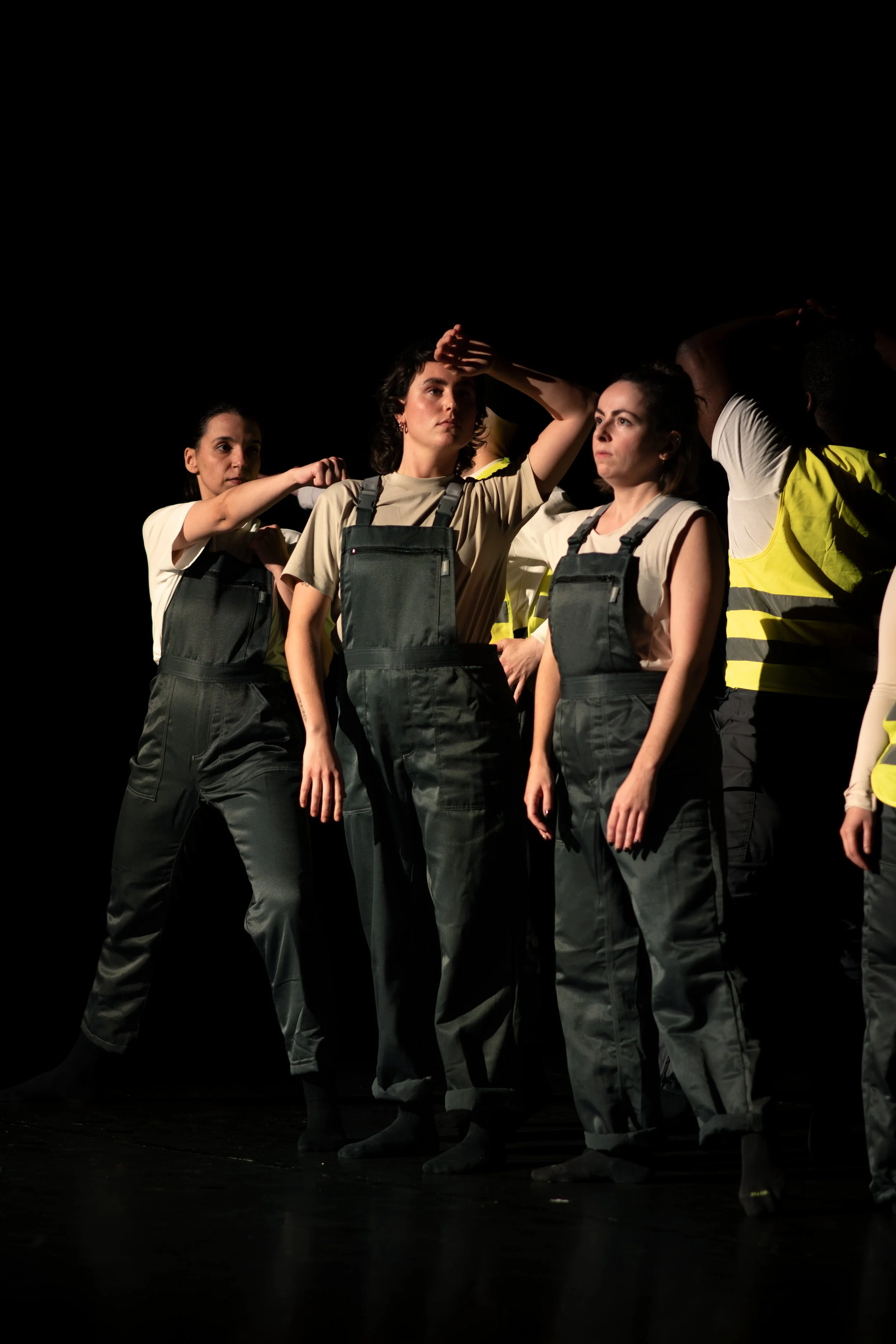 Papillon16. November 2025-5181.jpg