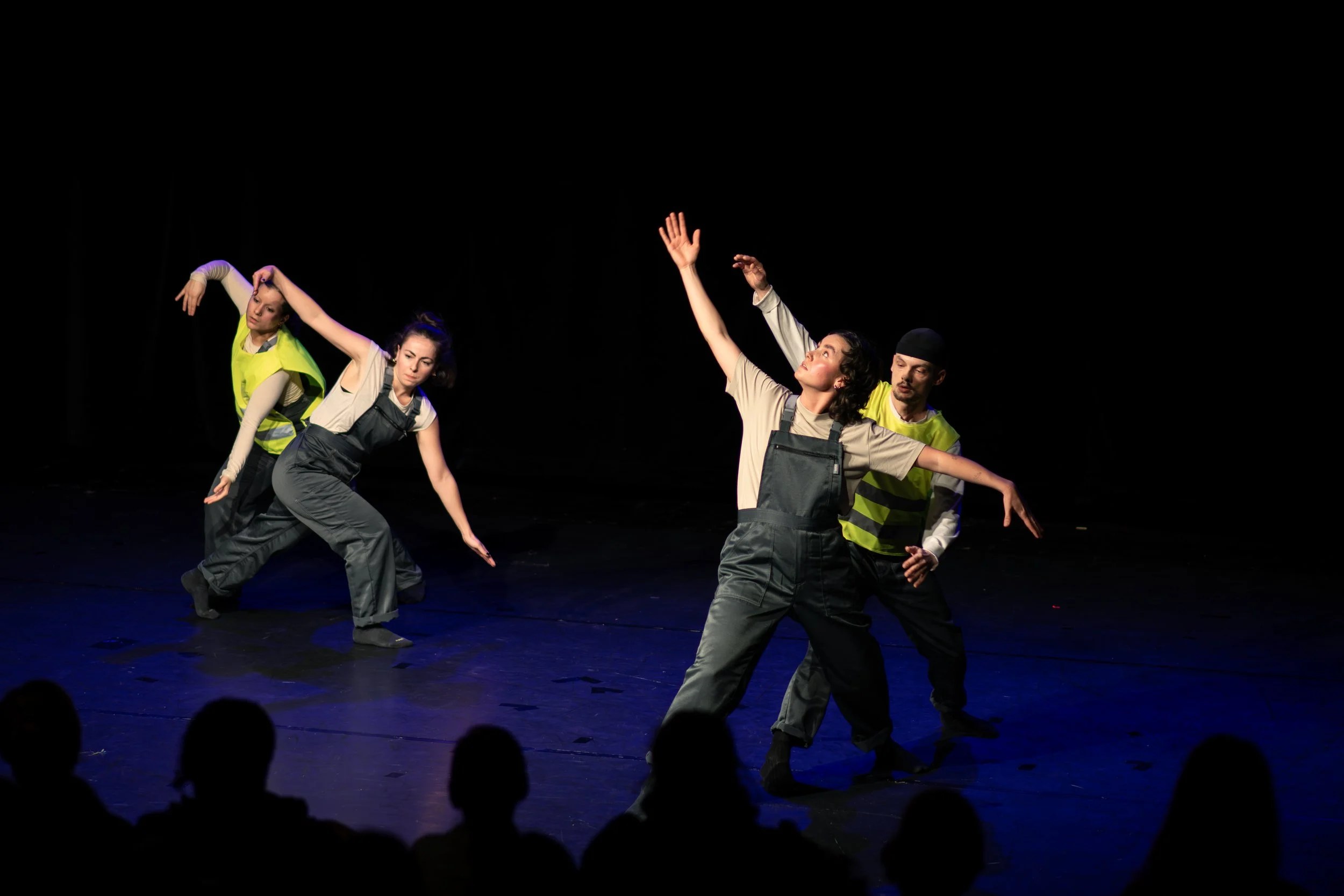 Papillon16. November 2025-5249.jpg