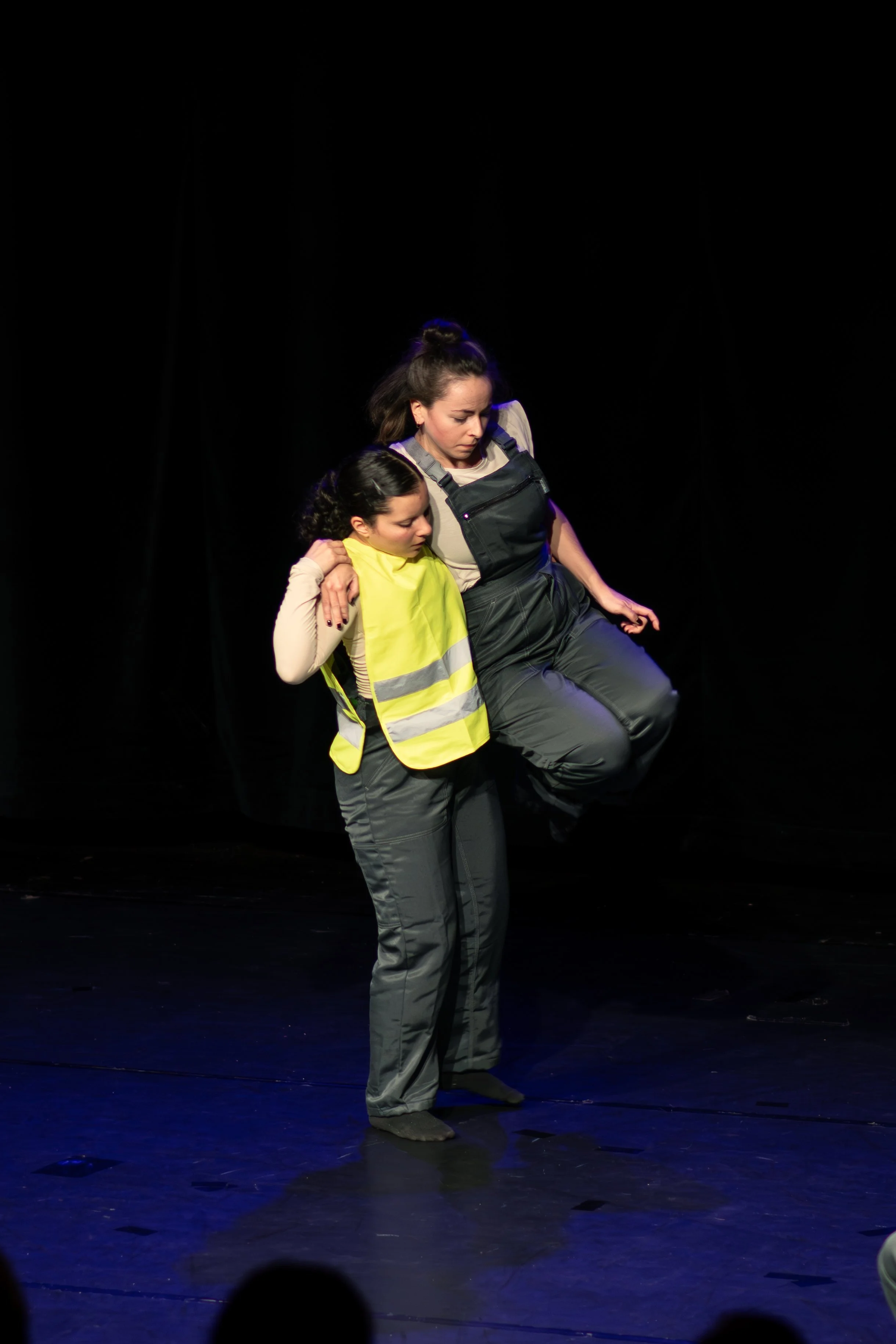 Papillon16. November 2025-5251.jpg