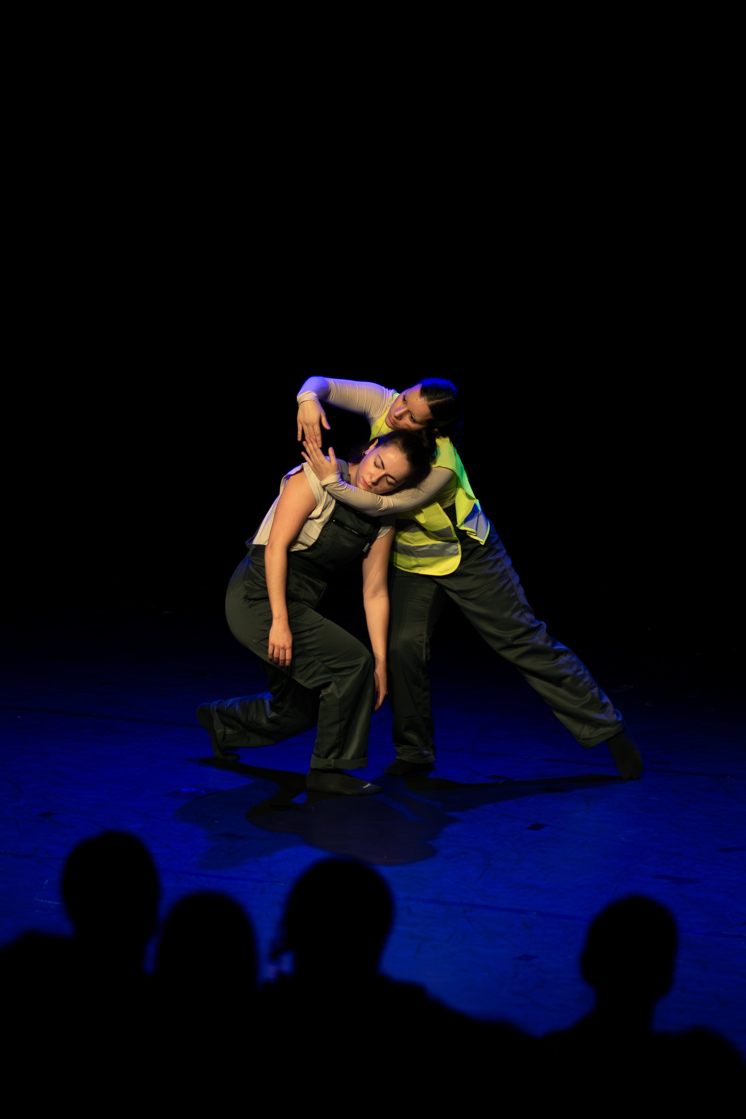 Papillon16. November 2025-5229.jpg