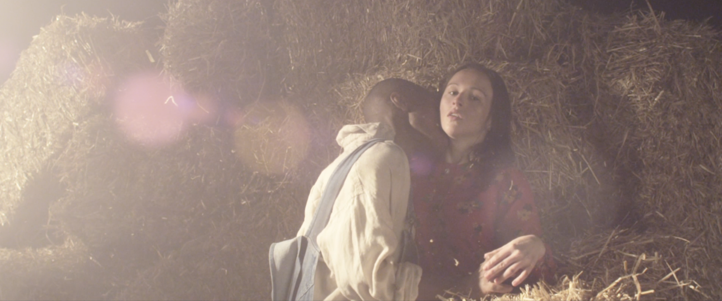 Dear Reader - Music Video - Editor