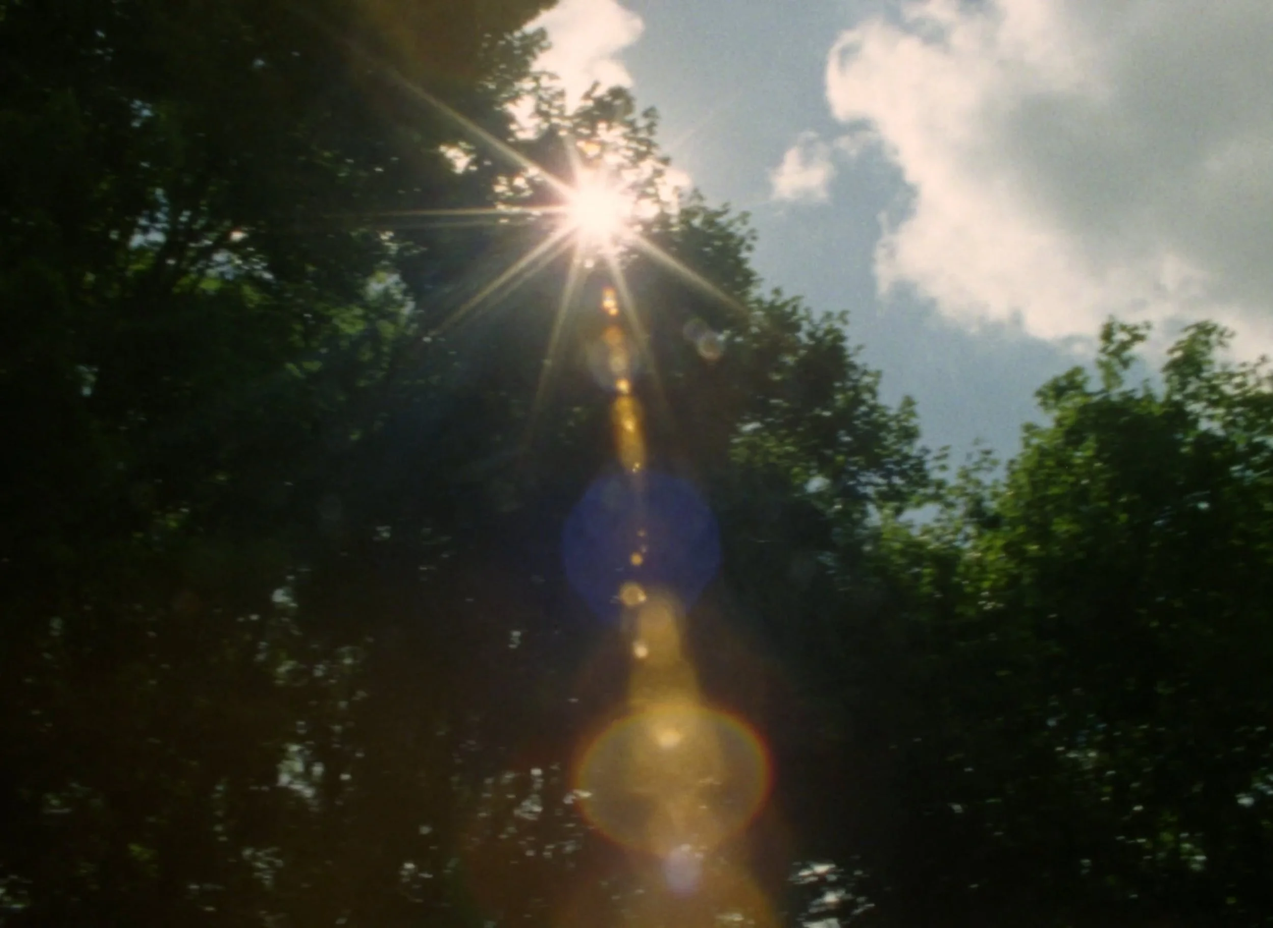 namak still 3.jpg