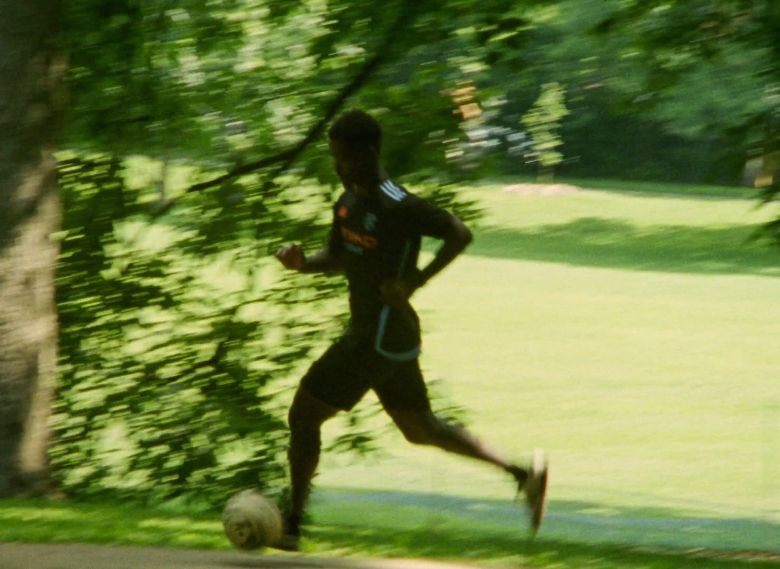 namak still 2.jpg