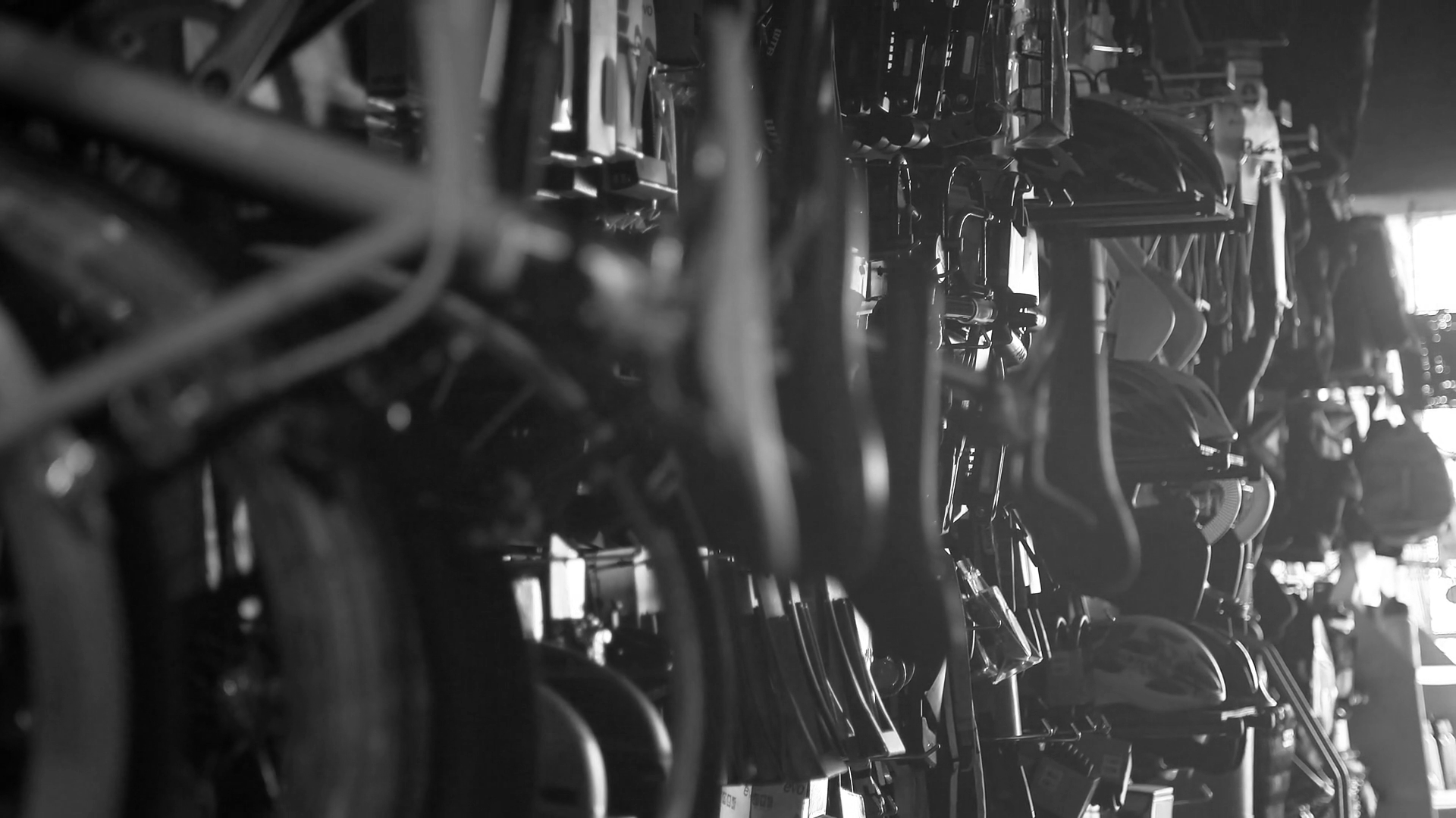 Getting Google’s ‘Misrepresentation Policy’ Error for Your Shopify Website?