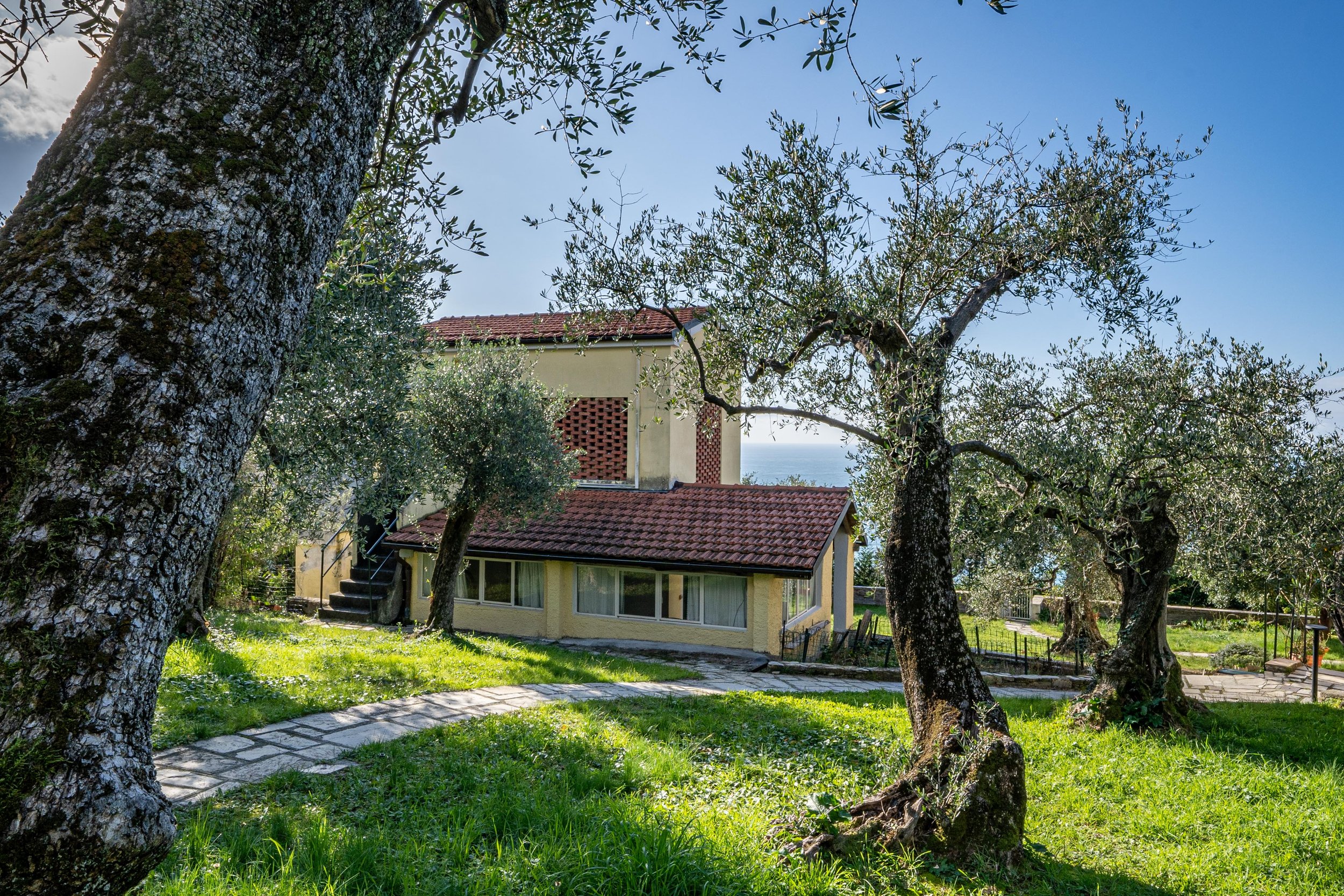 Oliivisaluga villa Lavangas