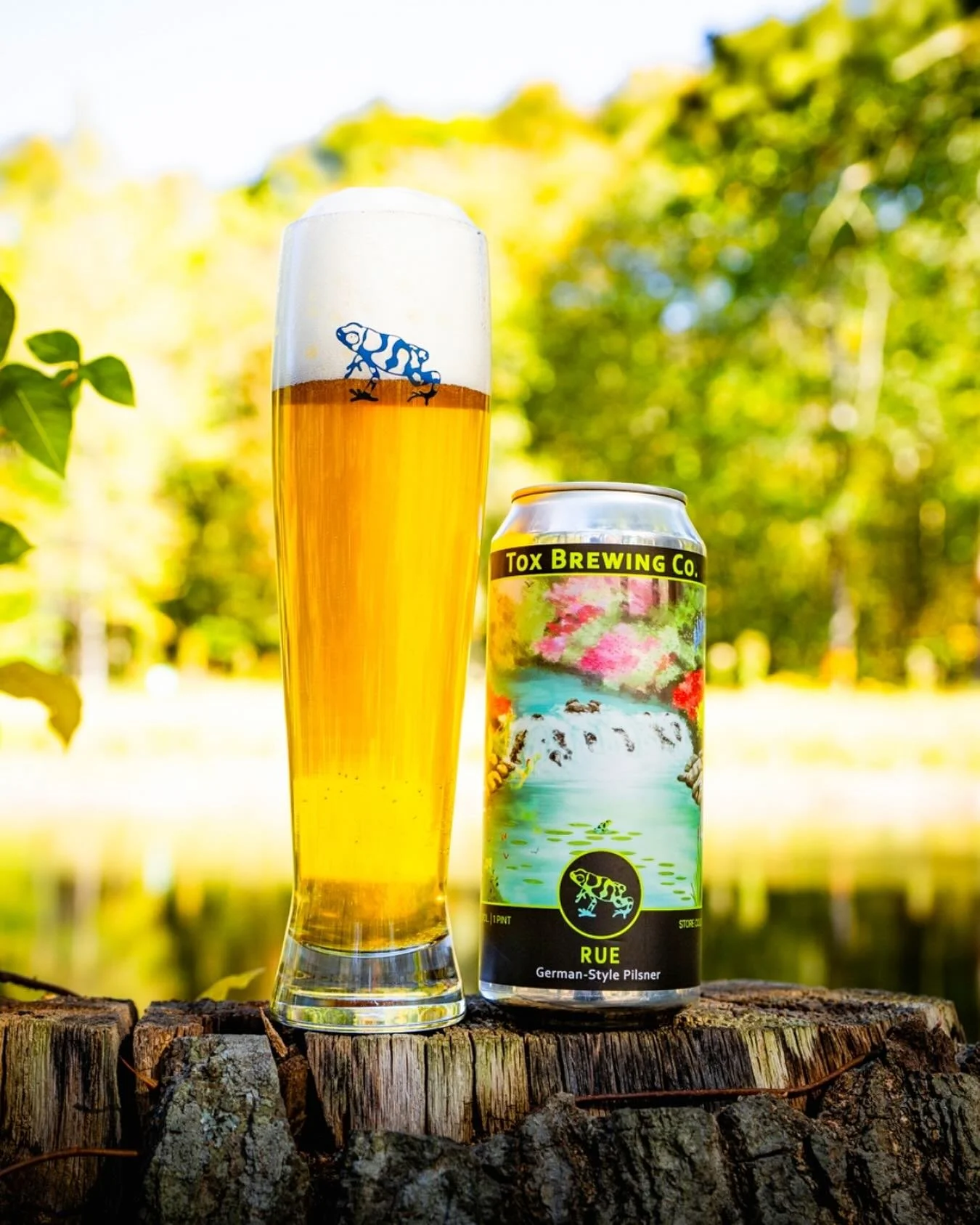 Fresh on the sidepull...
🍺🇩🇪
(5.3%) We have freshly packaged Rue: Our expression of a German Style Pilsner starts with a decoction mash with Bohemian Floor Malted Pilsner Malt and is lightly hopped with noble Hallertau Mittelfr&uuml;h. Fermented w