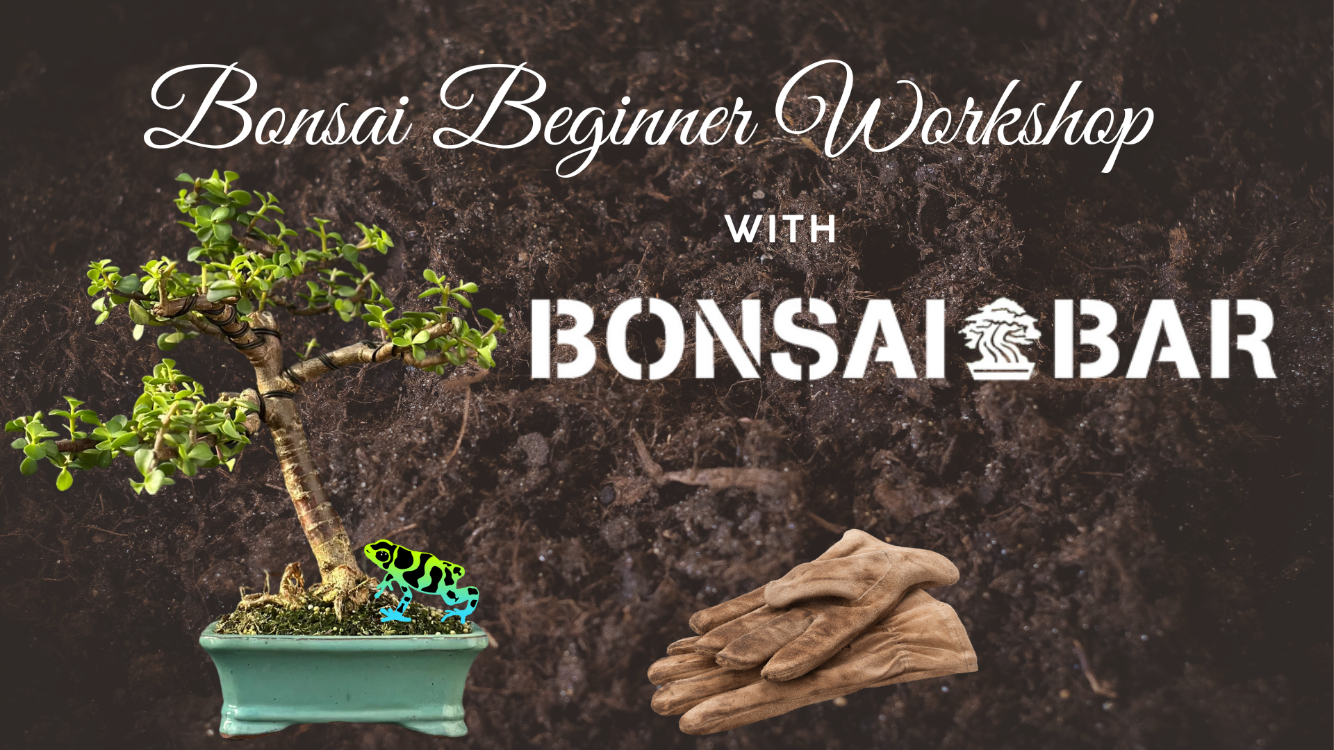 Beginner Bonsai Workshop with Bonsai Bar