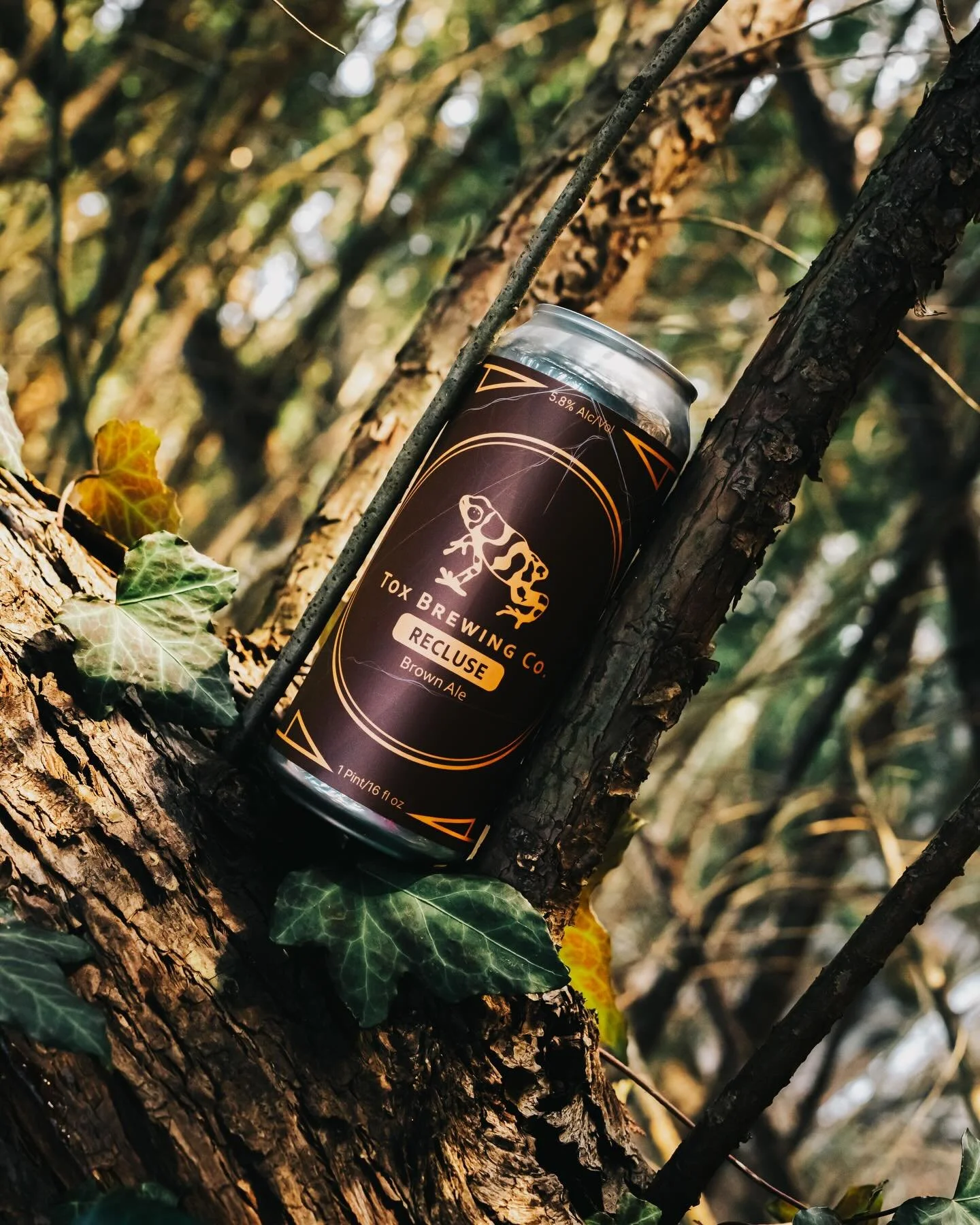 Recluse (5.8%), our take on an American Brown Ale is malt-forward with rich flavors of caramel, toffee, nuts, and chocolate. Recluse is balanced by subtle bitterness and a smooth, easy-drinking body. A small dry hop with the goal of a subtle Citrus, 