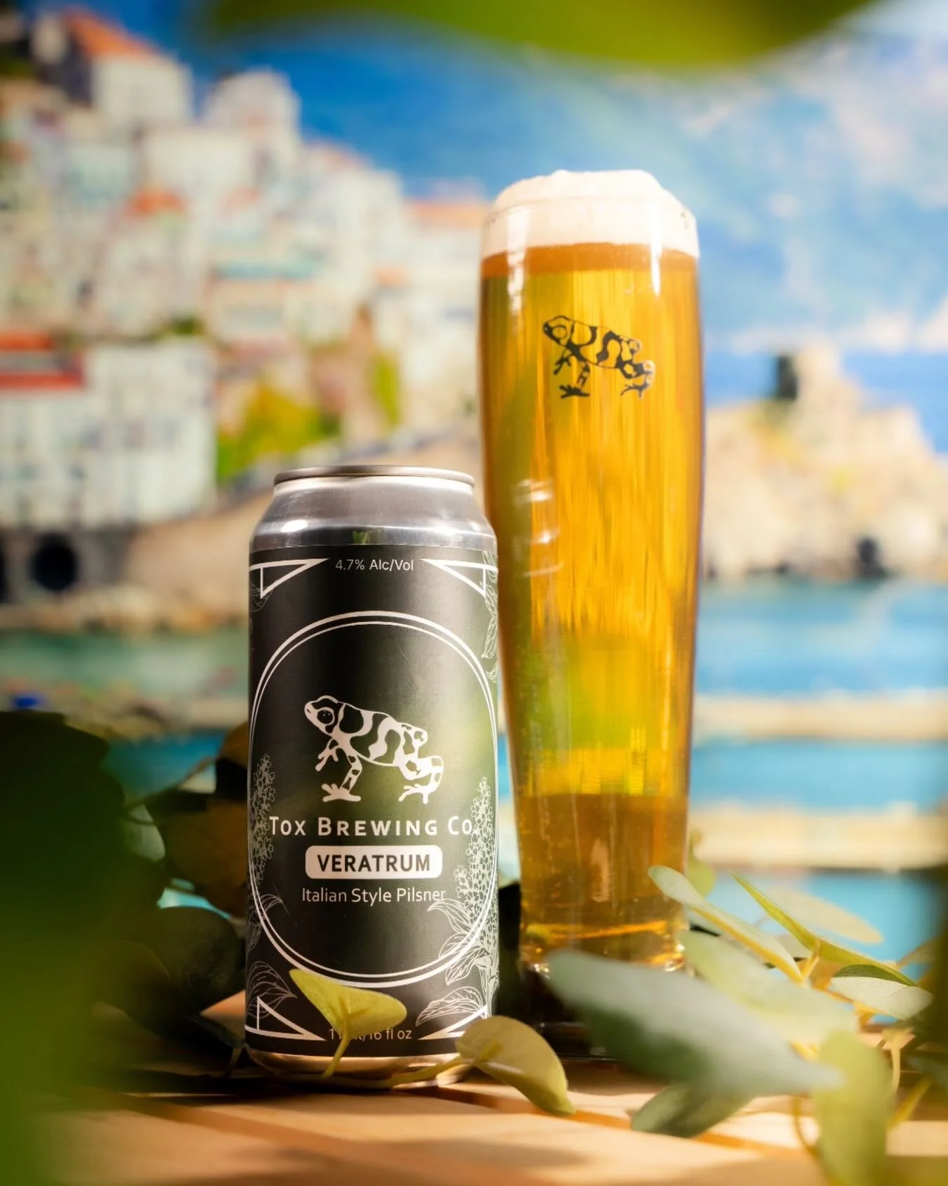 We are kicking off the week with a brand new beer. Veratrum (4.7%) is our expression of an Italian Style Pilsner. It starts with a decoction mash of Eraclea Pilsner Malt grown in northern Italy near Venice. After a patient fermentation and long cold 