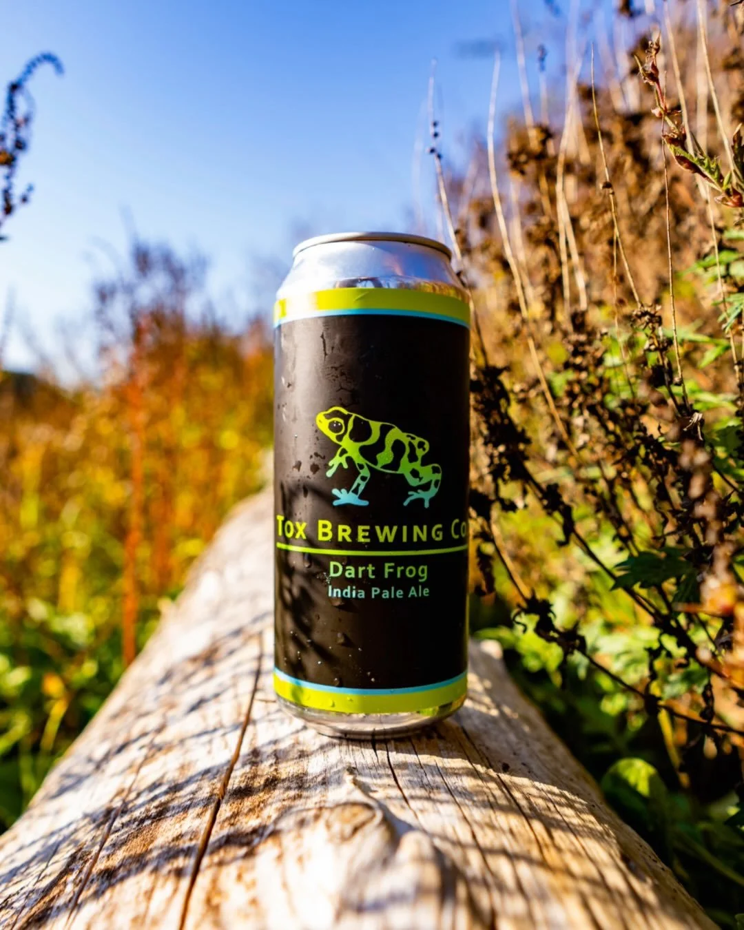 .
🎯🐸
We have a fresh batch of Dart frog that's going quickly. A big IPA named after a small animal... The one featured in our logo. Dart Frog is simple recipe of pilsner malt and wheat, and Hops exclusively from @freestylehops in New Zealand. Tropi