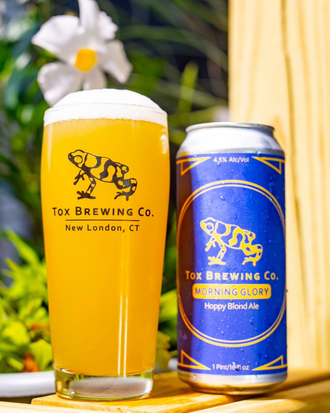 I got a text from Zach (@megazakks) when the canning run was kicking off a few minutes after 9:00 as I was leaving daycare and making my way down to the brewery. It simply read "Dude... Morning Glory is 🔥." You can taste a beer off the fer