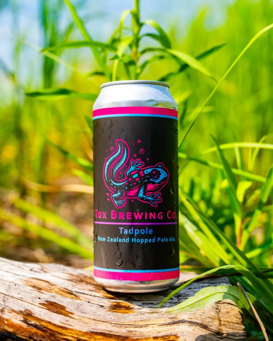 Tadpole pale ale is a lighter take on our beloved Dart Frog, packing all the flavor into a more easygoing crusher. Hopped with Nelson Sauvin and Motueka, it pours straw yellow and pops with tropical fruit, juicy white wine grape, and fresh berry note