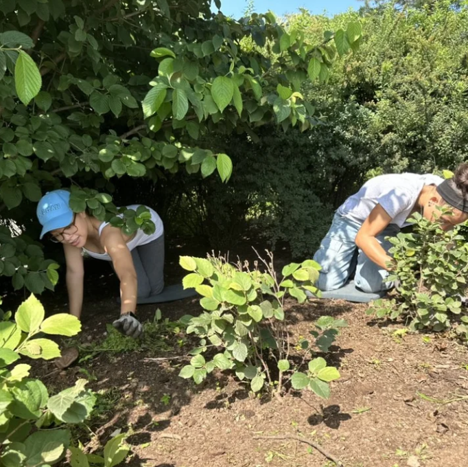 Screenshot 2026-01-08 at 1.13.52 PM.png