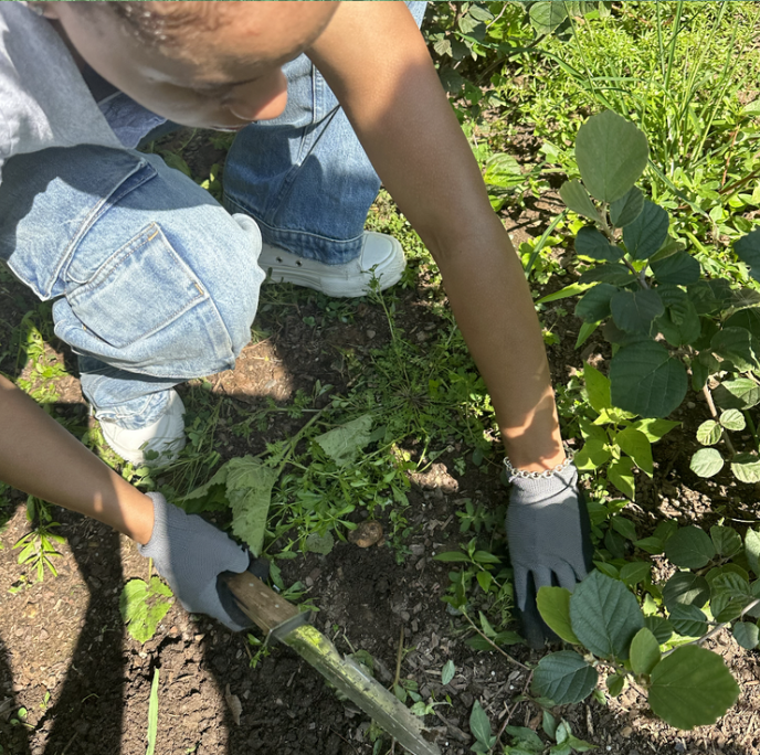 Screenshot 2026-01-08 at 1.14.15 PM.png