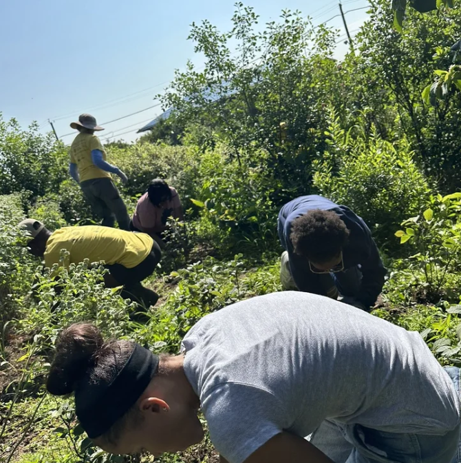 Screenshot 2026-01-08 at 1.14.25 PM.png