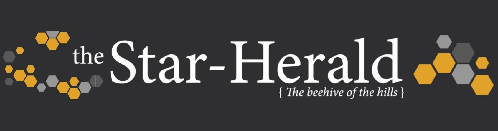 Newspaper Logos-15.jpg