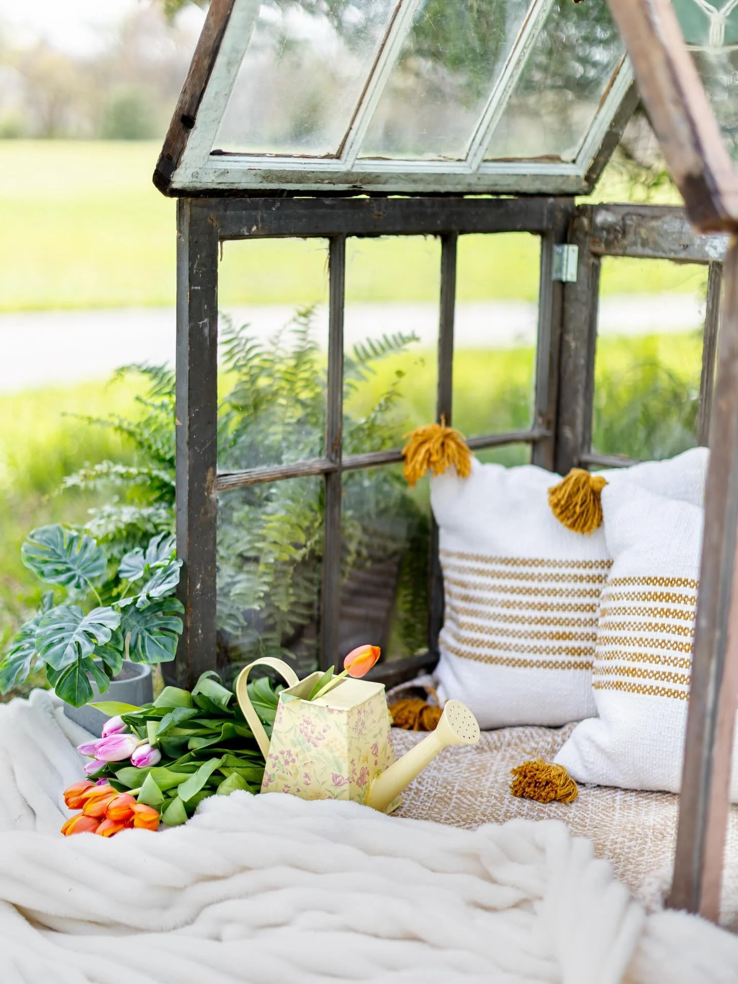 Saturday April 18th &amp; Sunday May 3rd!  Those are the only dates for Spring mini greenhouse sessions. These book fast! Grab your spot and let&rsquo;s make magic 😊🌿🌷