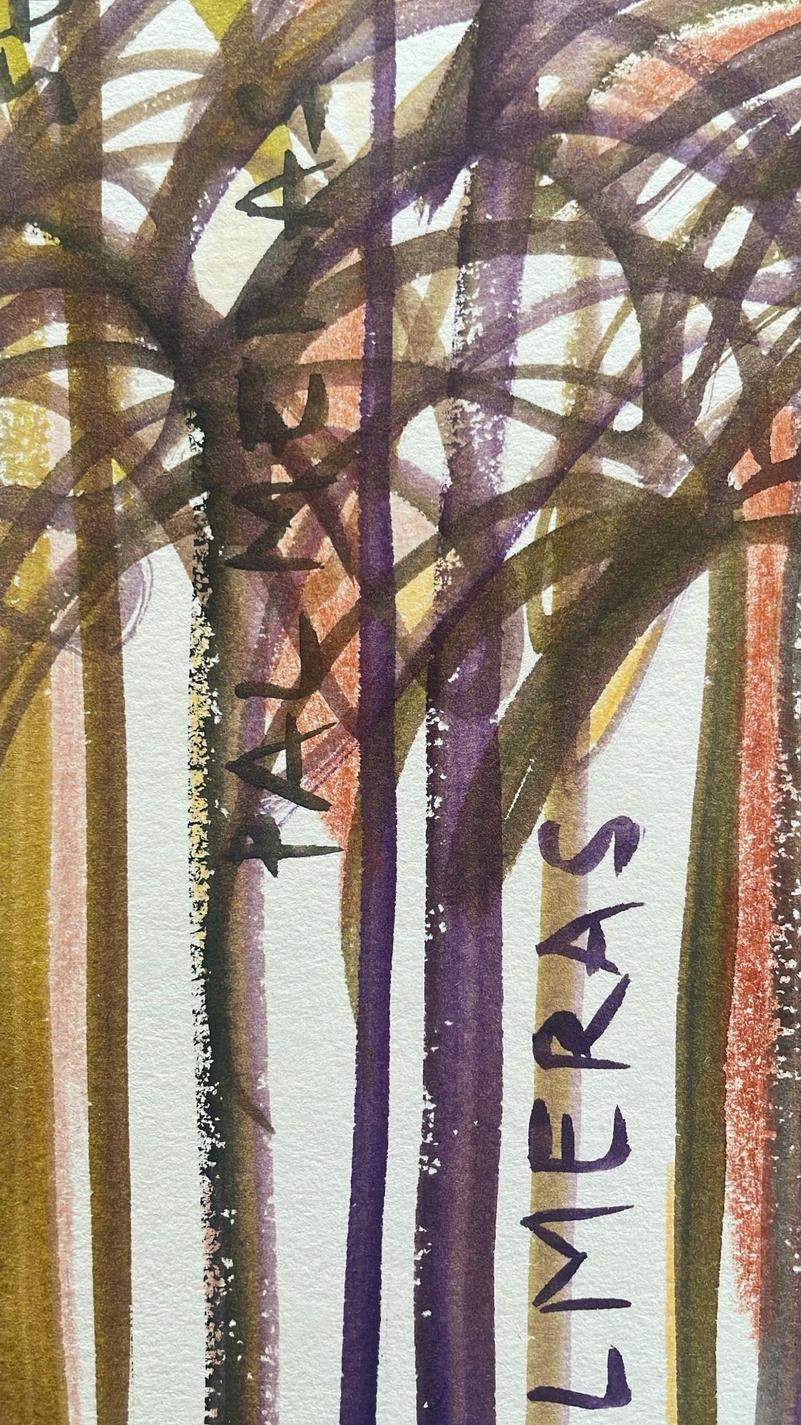 Palmeras