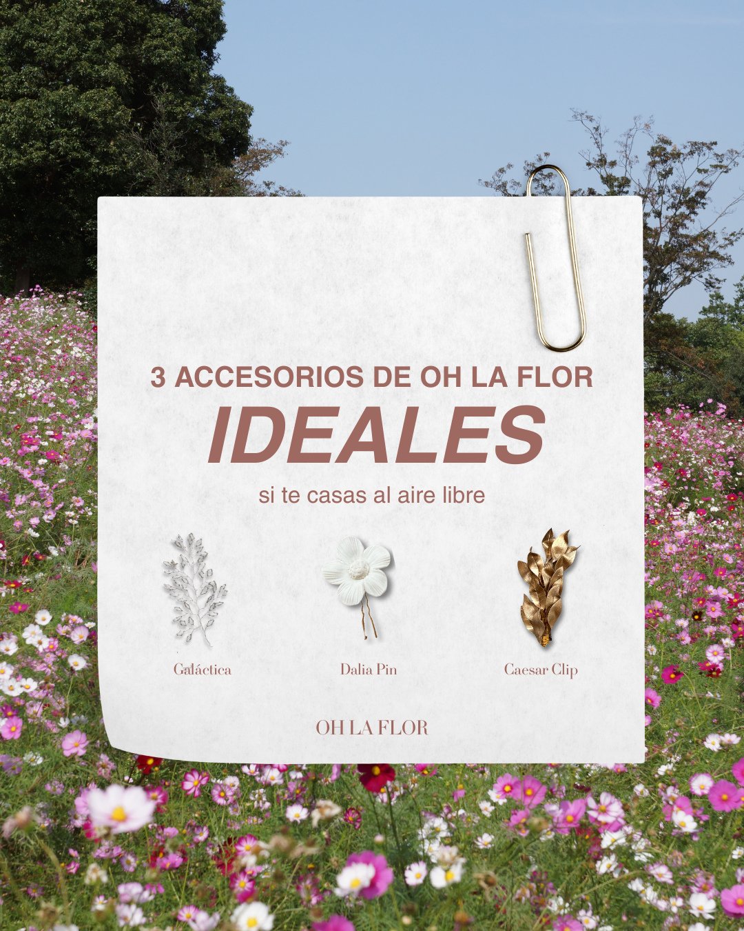 Te compartimos algunas de nuestras opciones favoritas:⁠
⁠
⚪ Dalia Pin: horquilla con dalia de porcelana, delicada y rom&aacute;ntica, perfecta para un toque floral sutil que acompa&ntilde;e cualquier peinado.⁠
⚪ Gal&aacute;ctica: tocado de canutillo 
