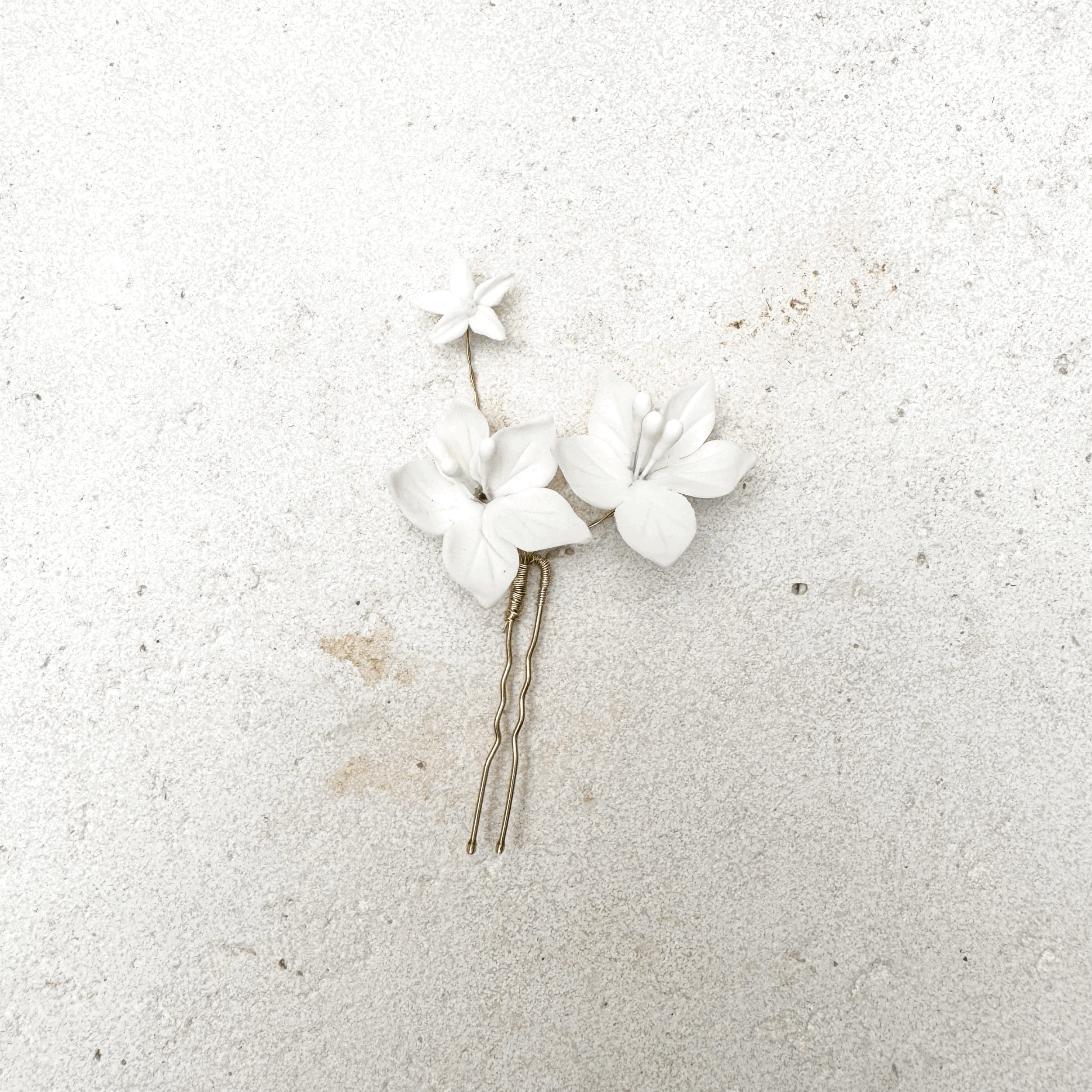 Orchids blooming pin