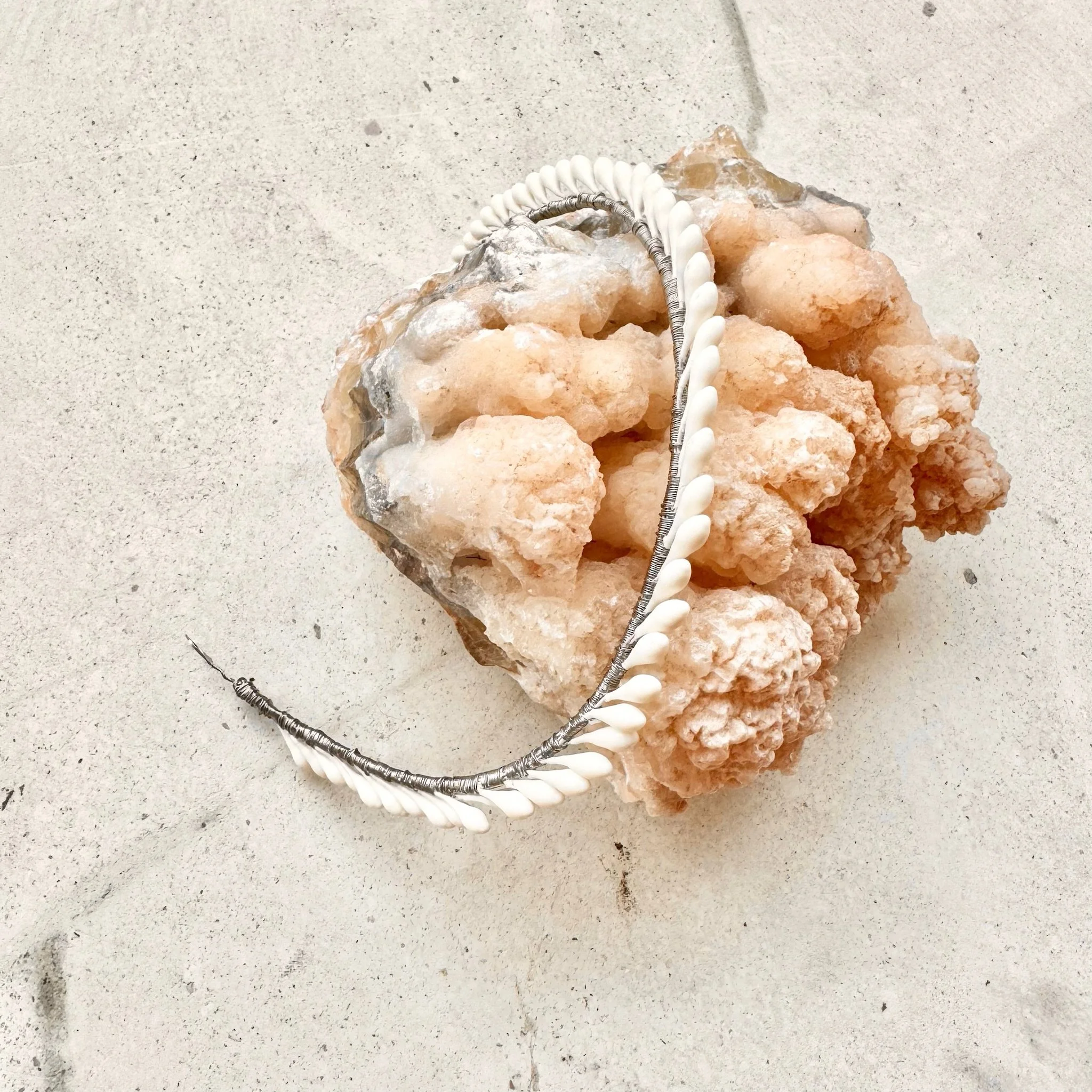 Swan XS 01 - producto.jpeg