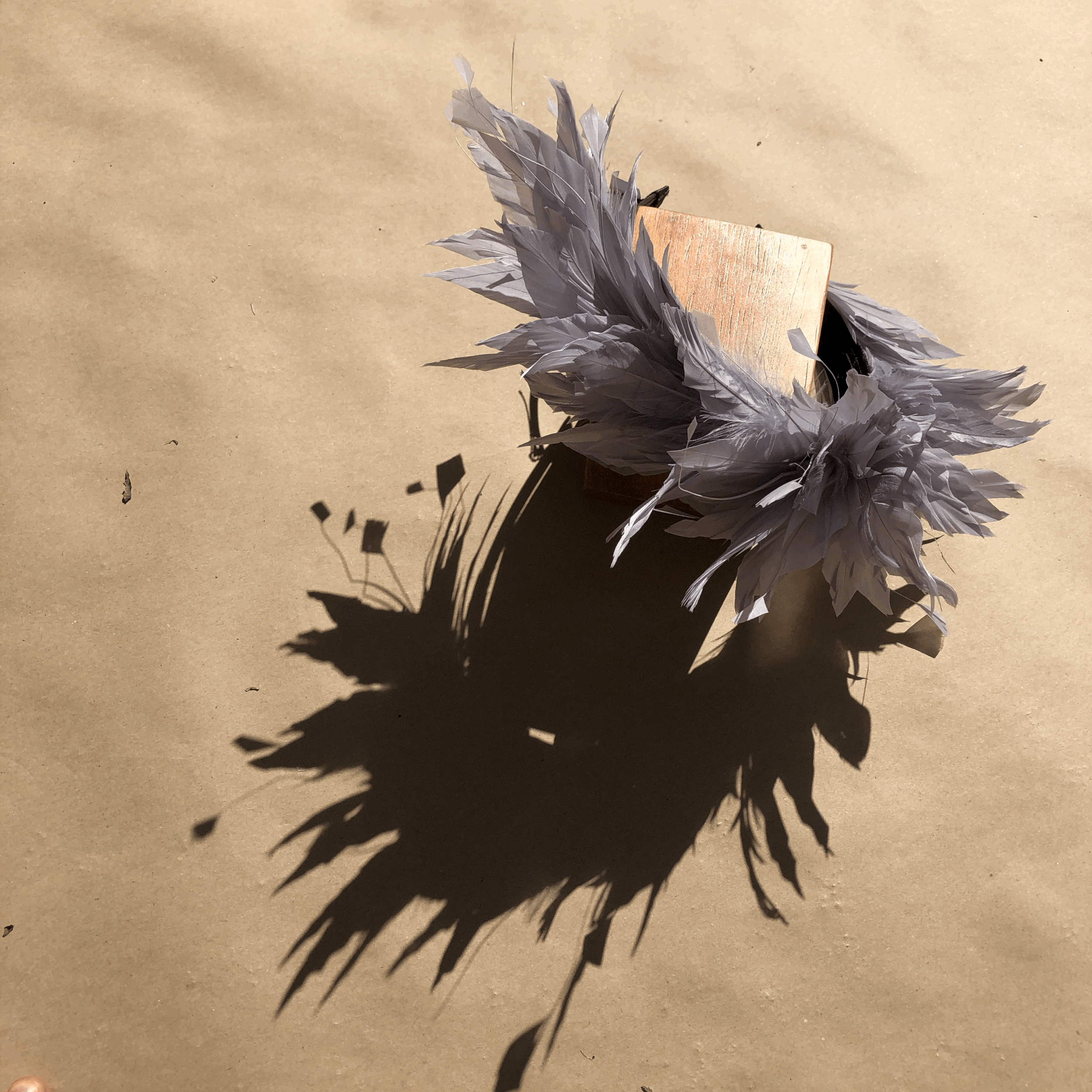 tempImageedNe83.gif