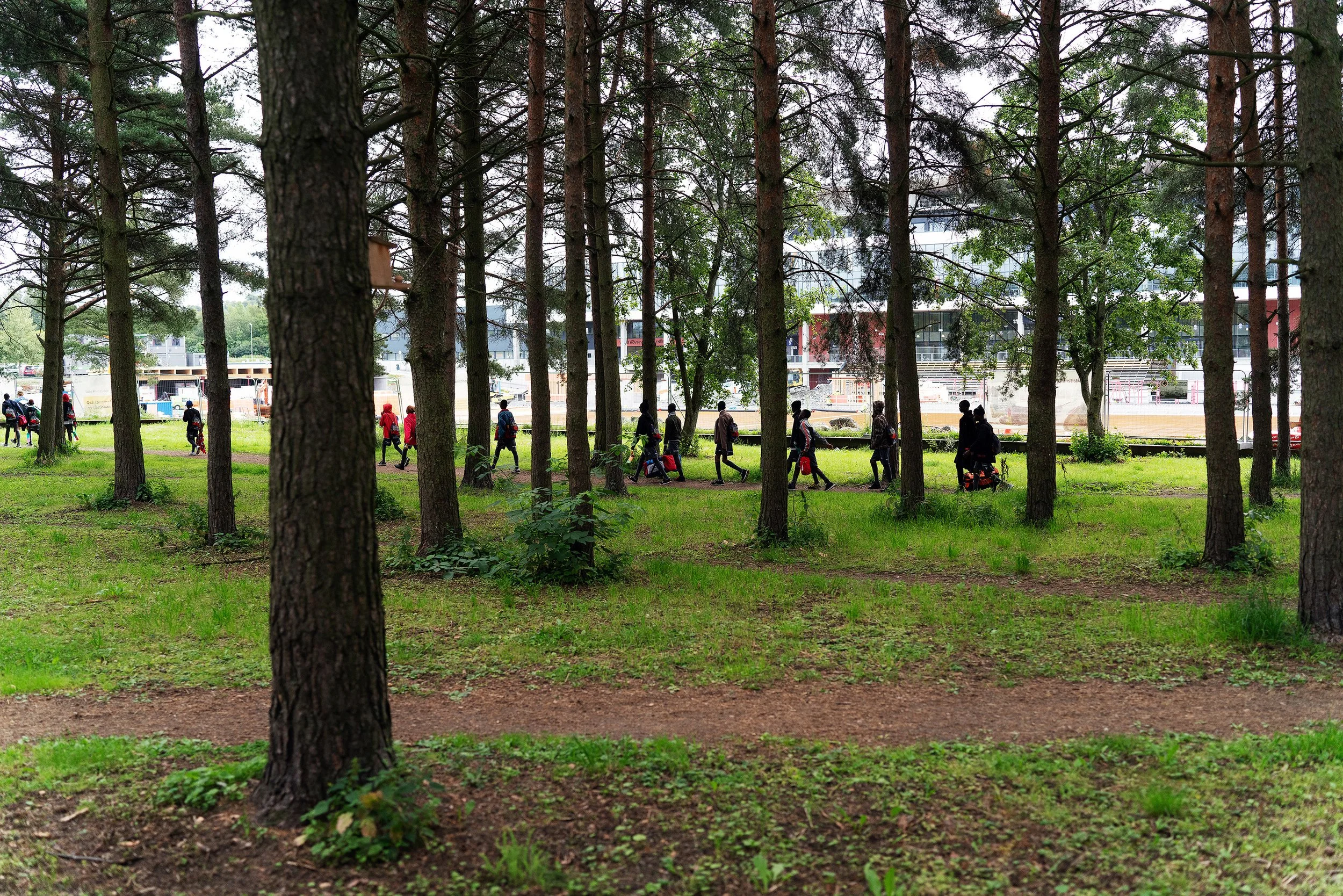 05-11130-hope_stars03 3000px.jpg