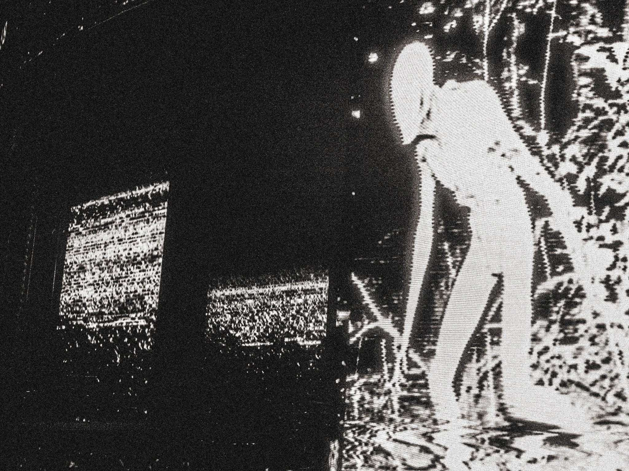 bb-7.jpg