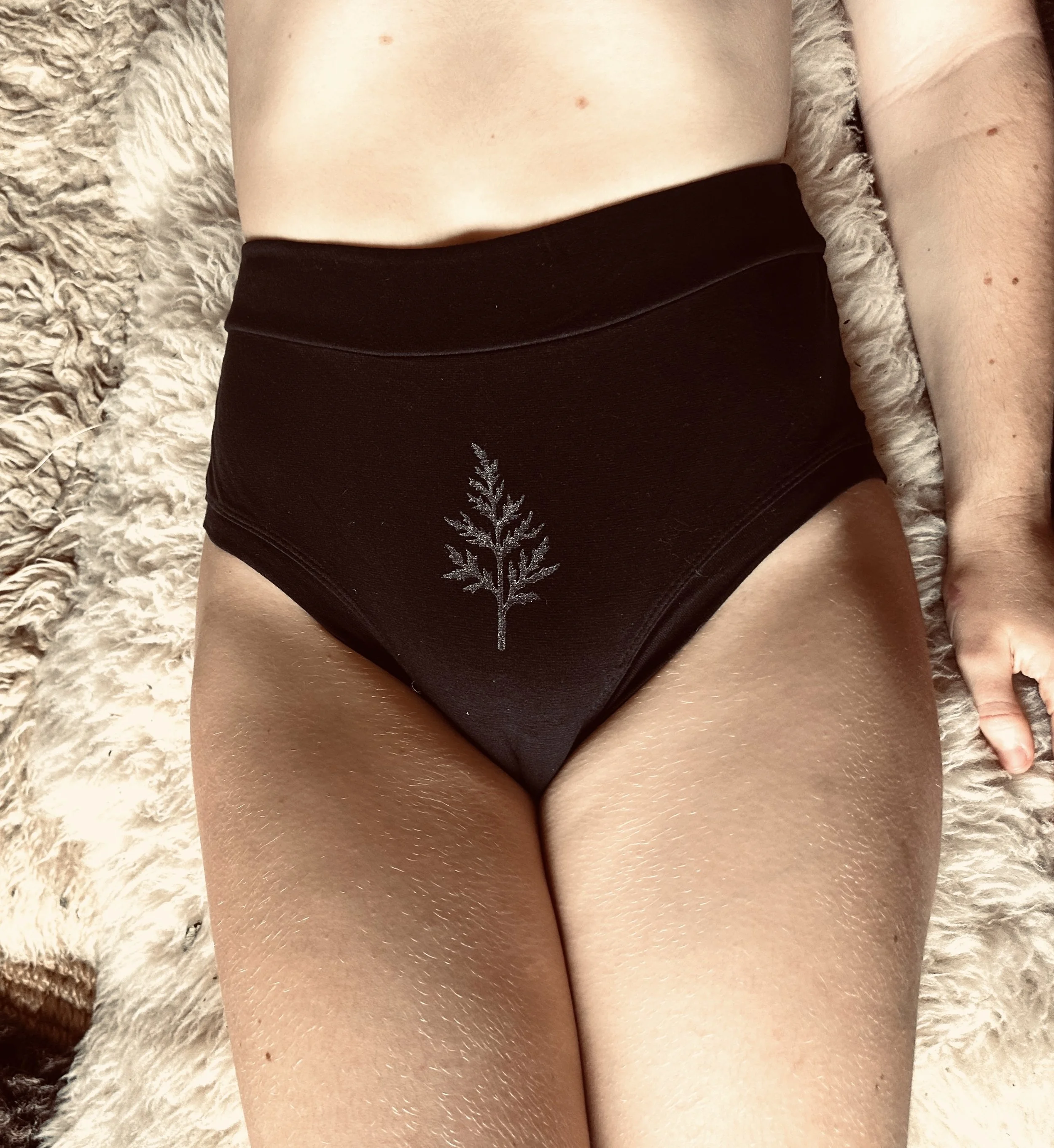 IMG_3326.jpeg (Copy)